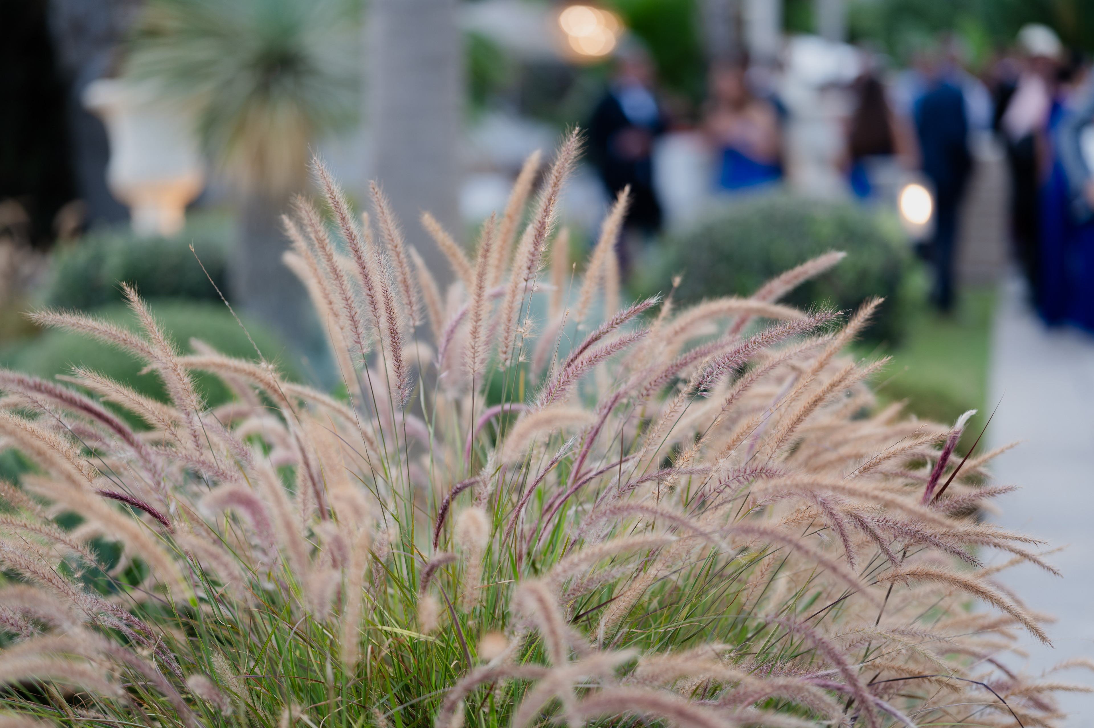 wedding photographer in Italia, Fotografia di matrimonio, reportage, location per ricevimenti