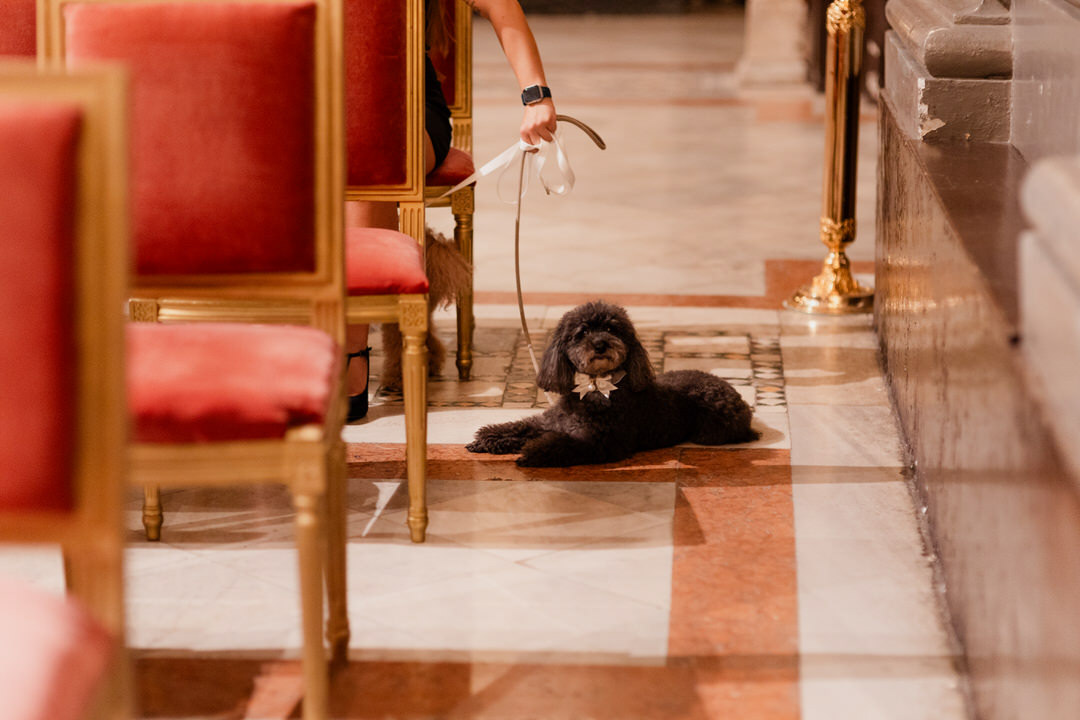 cerimonia-matrimonio-italia-reportage-spontaneo-matrimonioroma