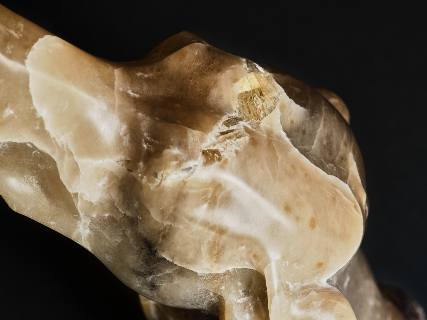 'Purdy' Weimaraner - detail