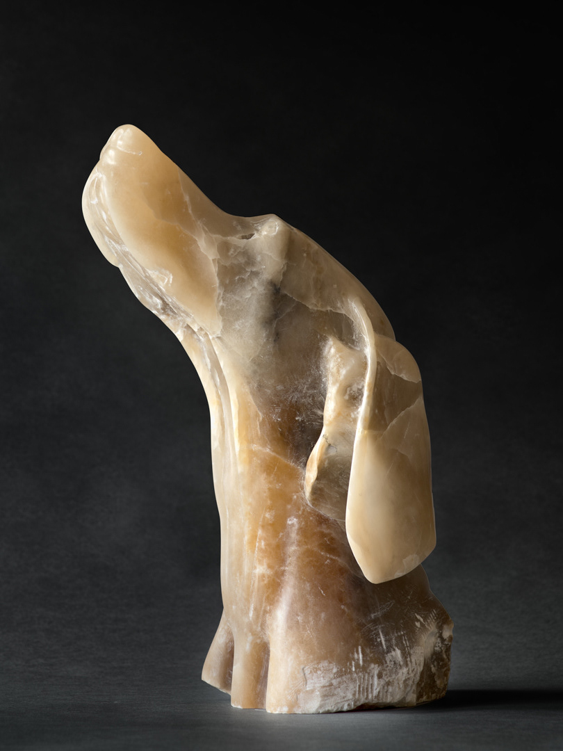 An alabaster stone portrait (neck and head)of a weimaraner dog. The dog is looking towards an unseen figure.  Hand carved in brown alabaster by Carly Grice. 