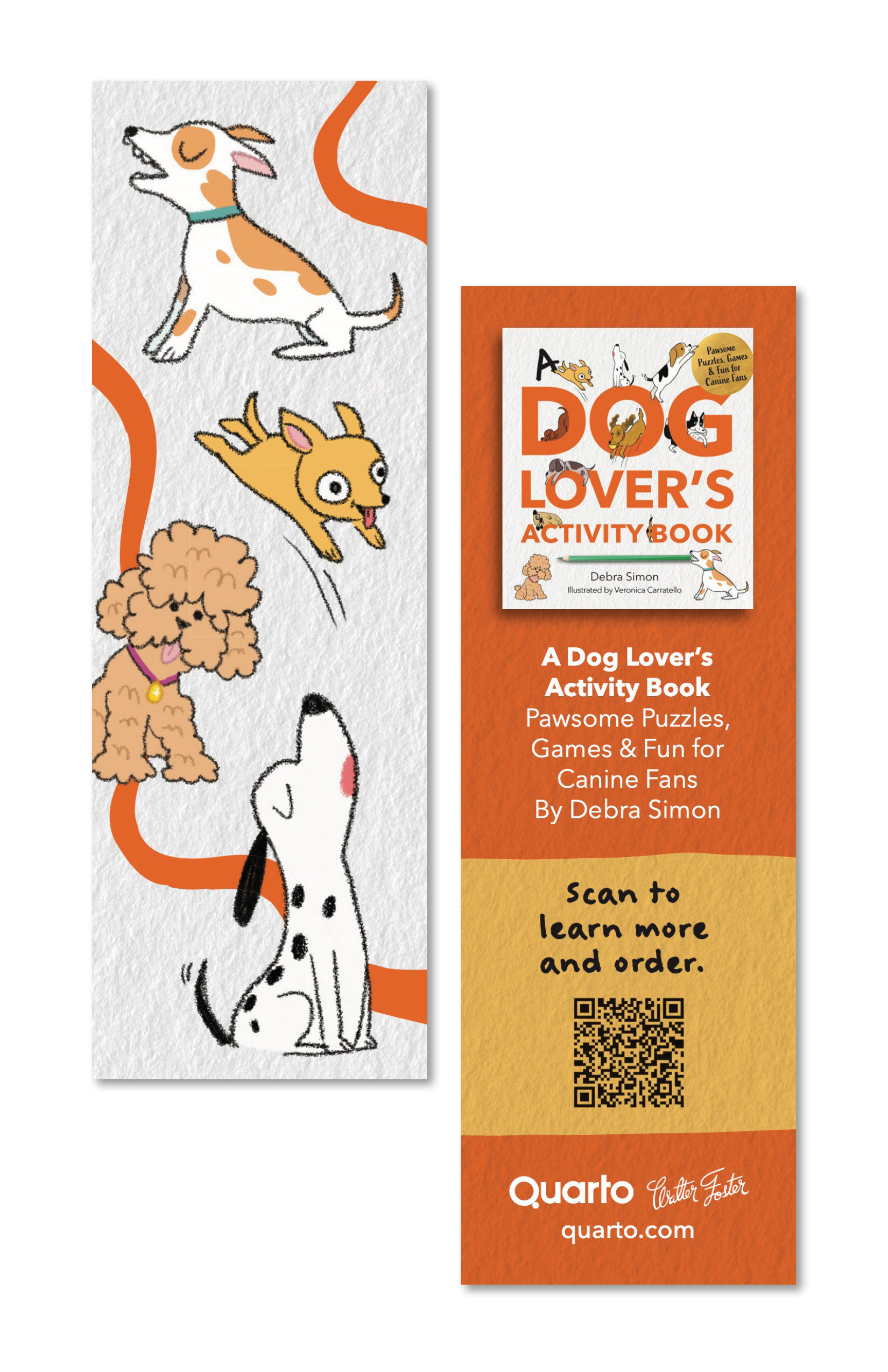 Illustrations by Veronica Carratello