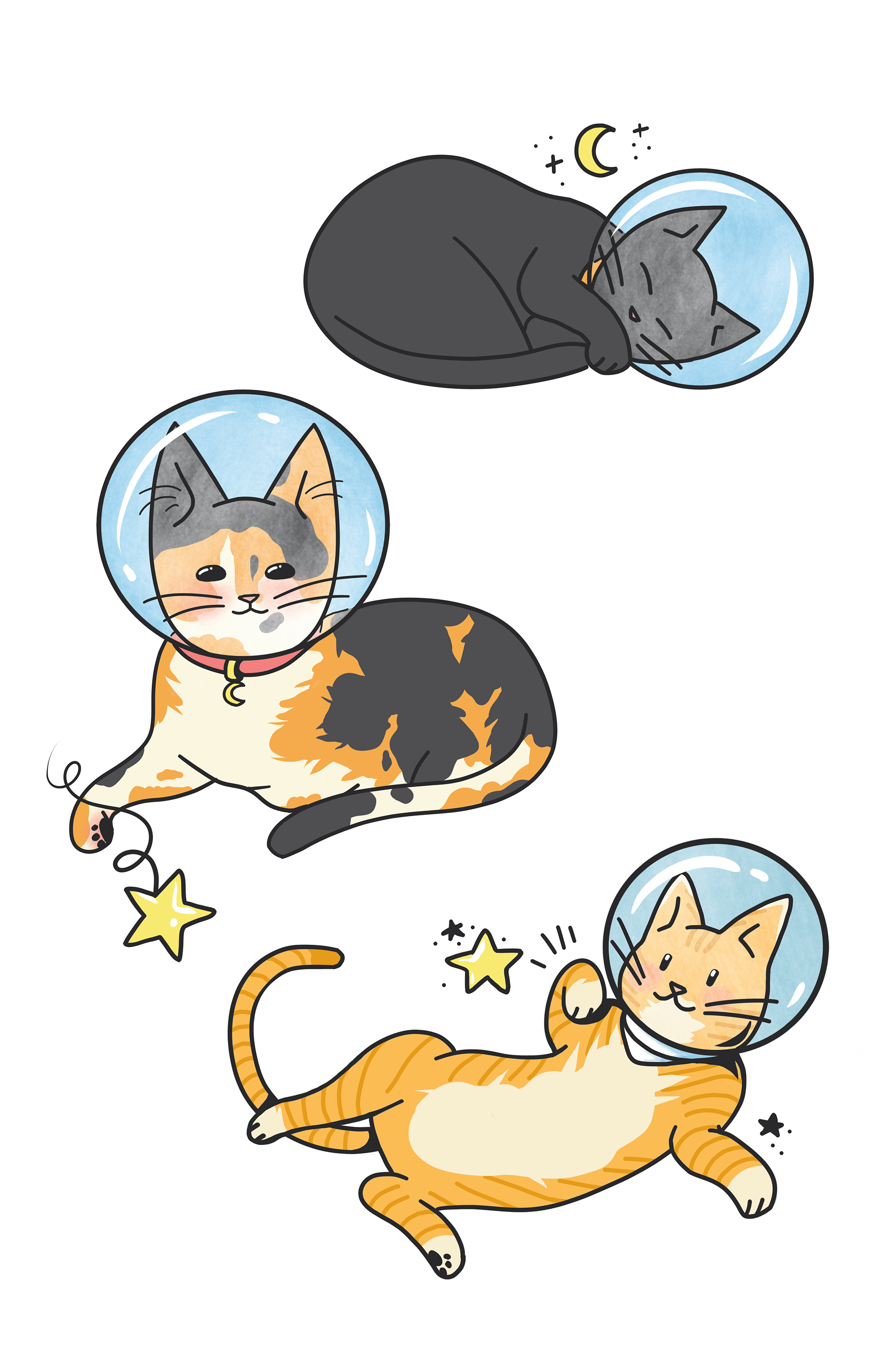Space Cats, Procreate, 2020