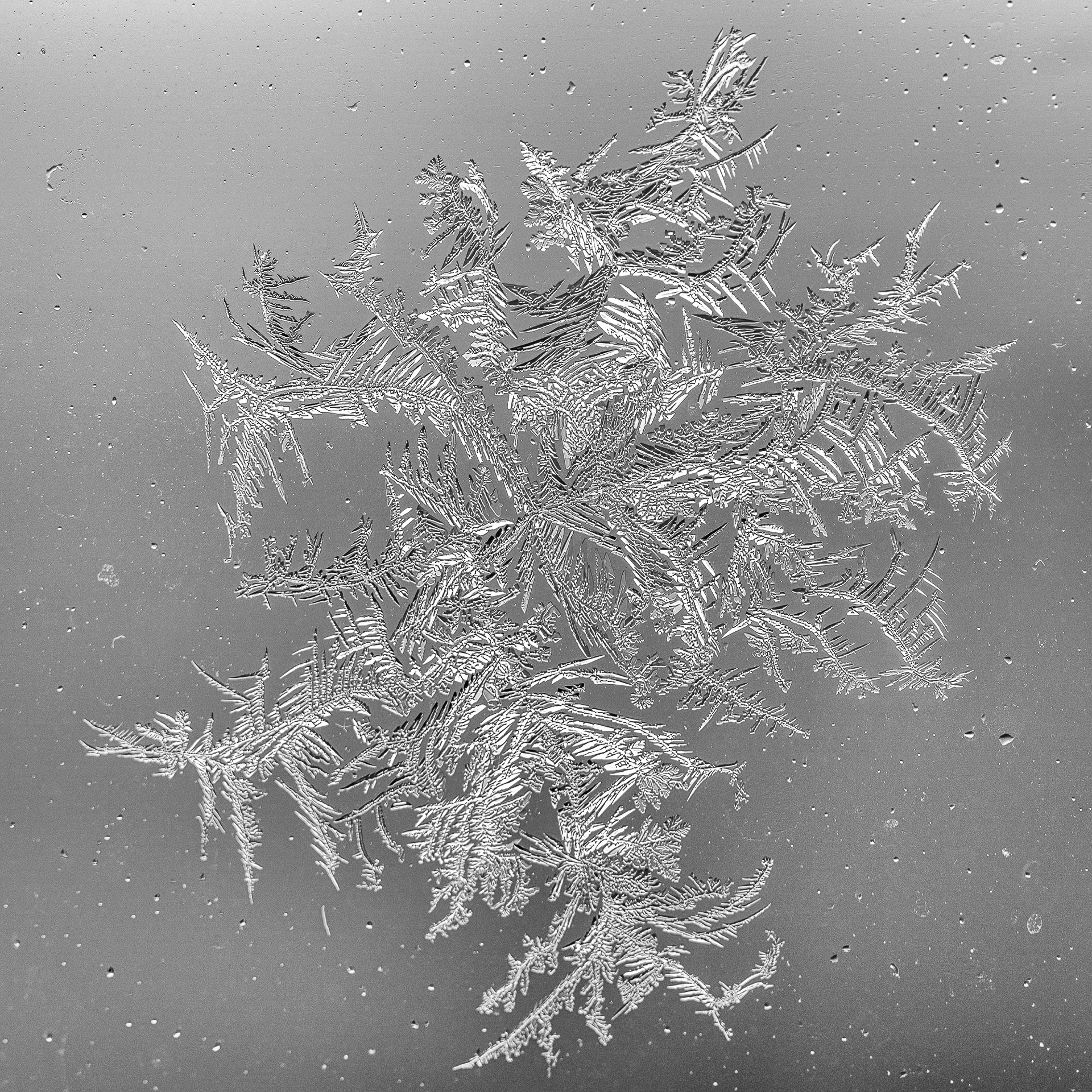 Ice Crystals on bedroom window