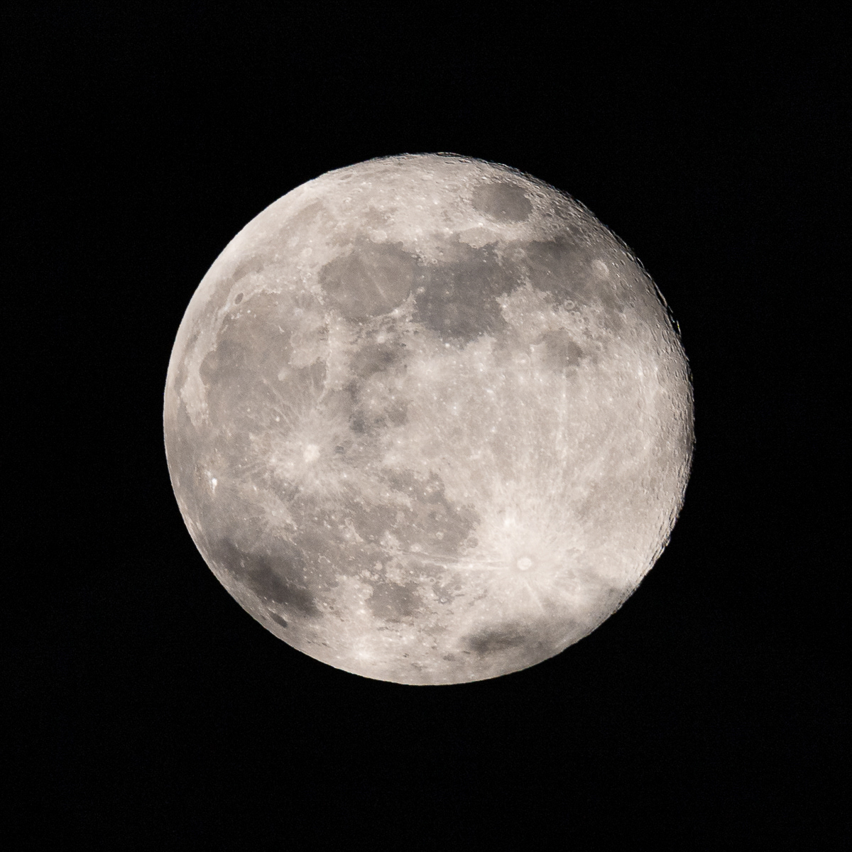 Pink Moon