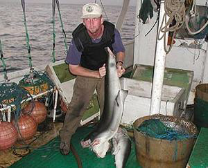 That is me onboard a illegal longliner caught shark finning in the Galapagos Marine Reserve. I was an onboard observer documenting evidence.