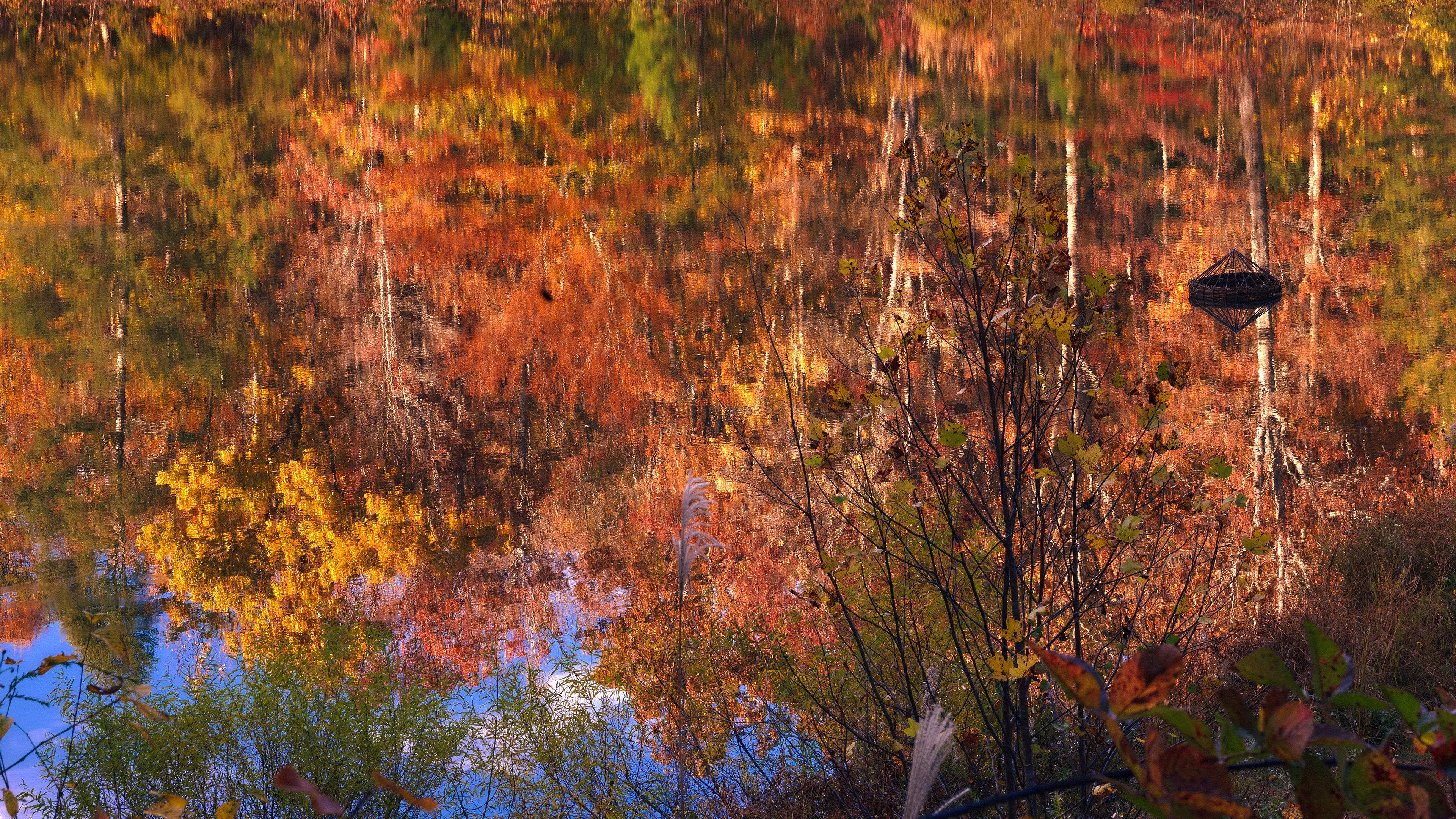 Autumn Tapestry Reflected