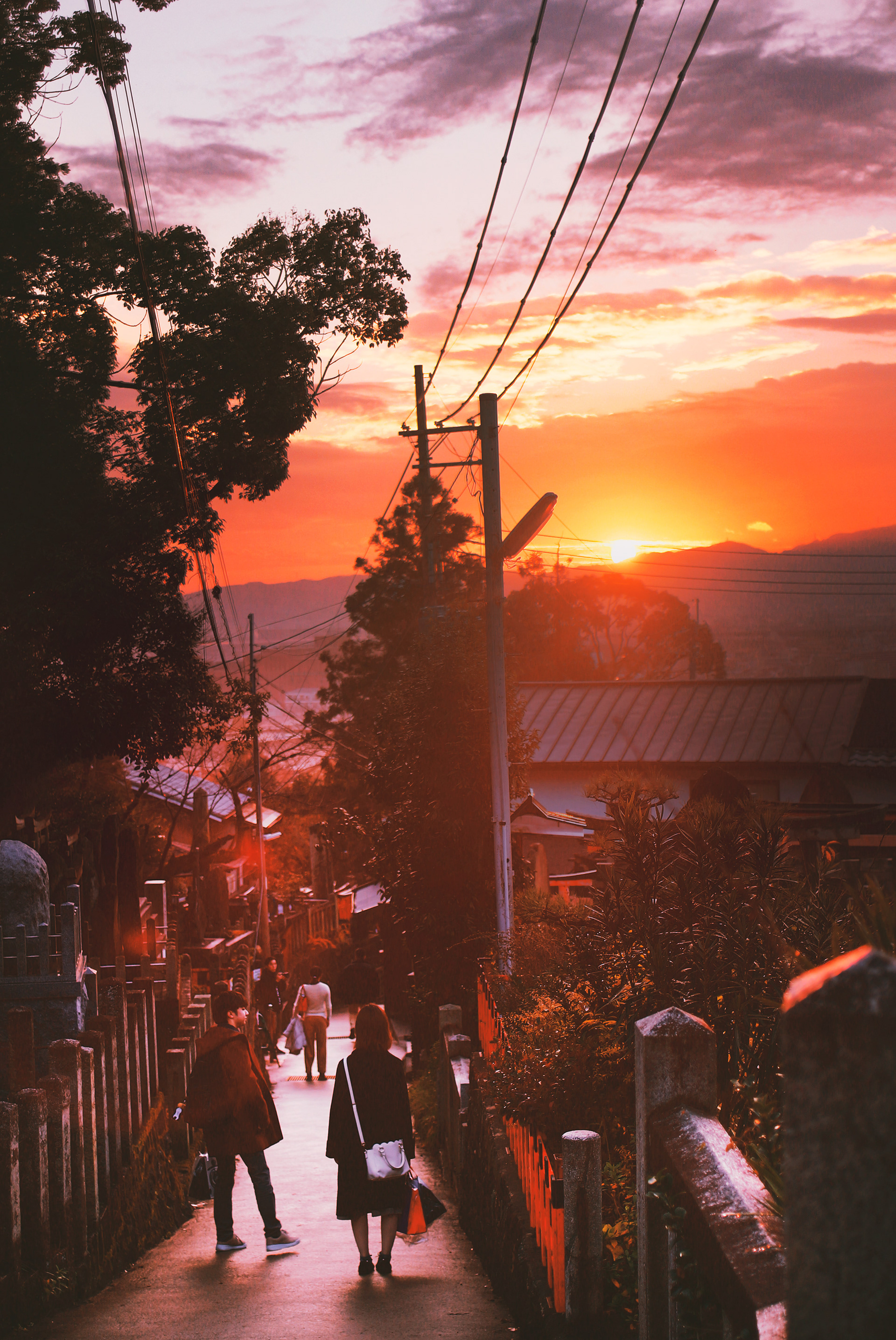 Fushimi Inari, December 2018