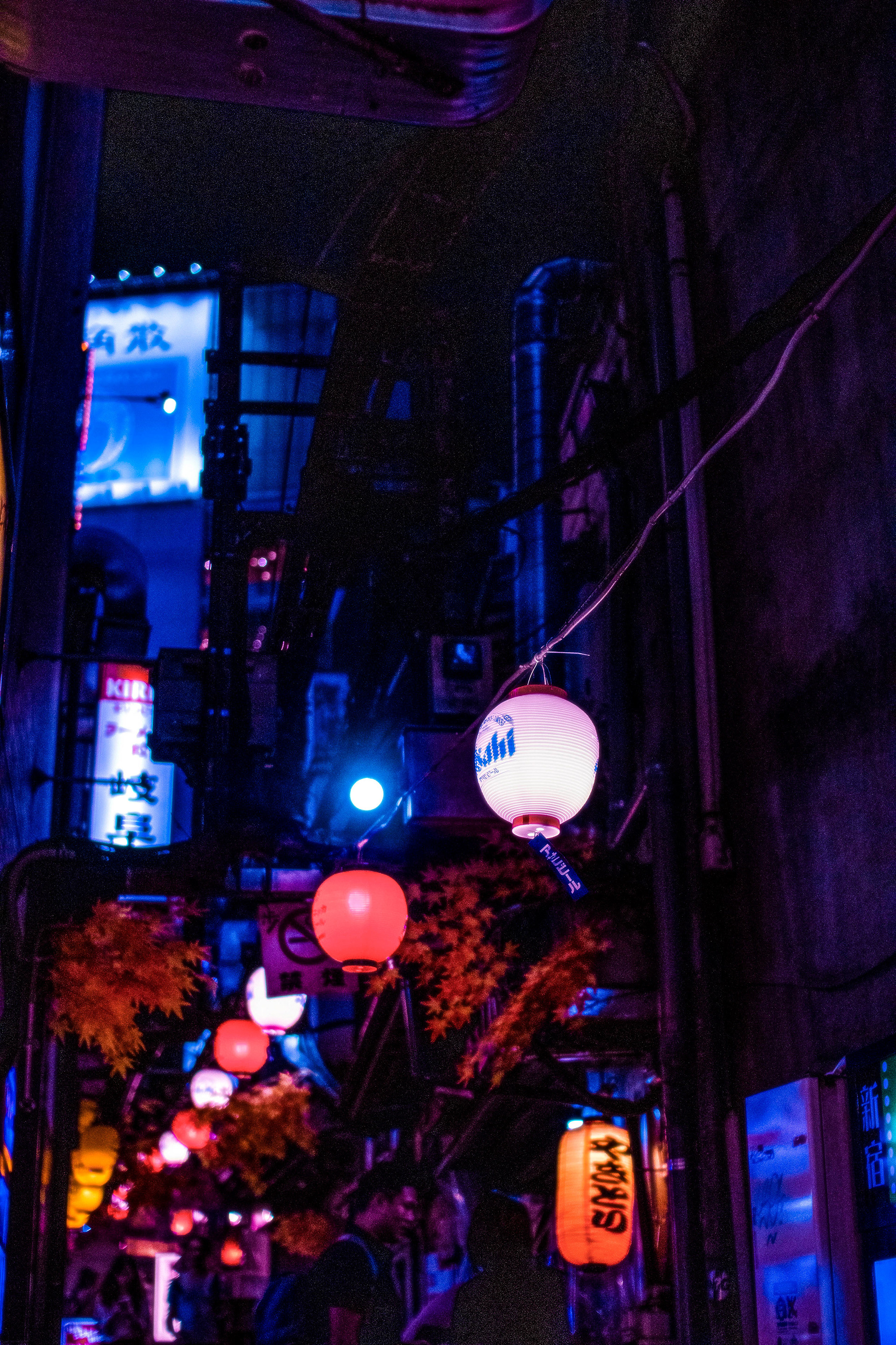 Omoide Yokocho (Momiji), Shinjuku-ku, Tokyo 2019