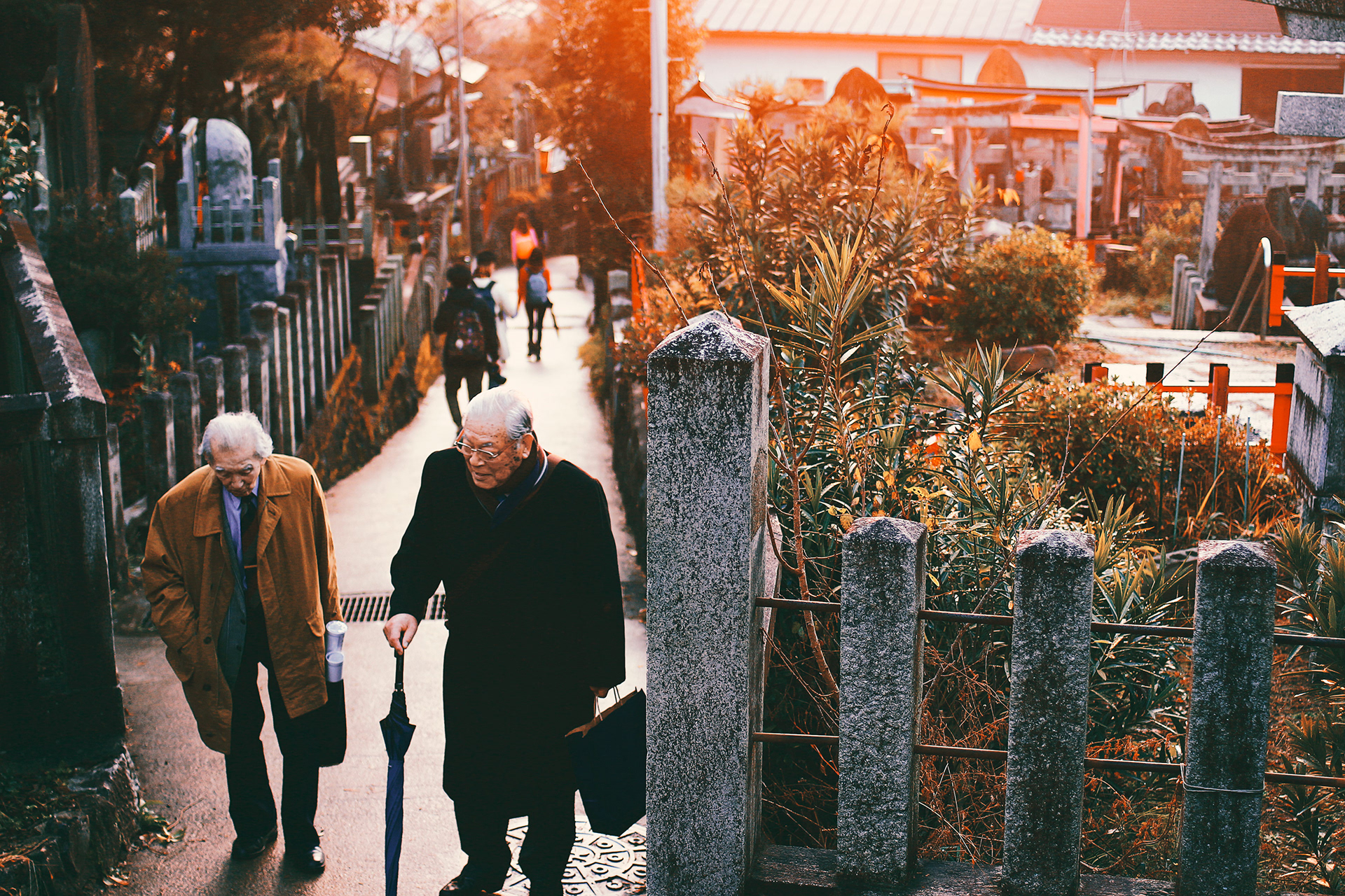 Fushimi Inari, December 2018