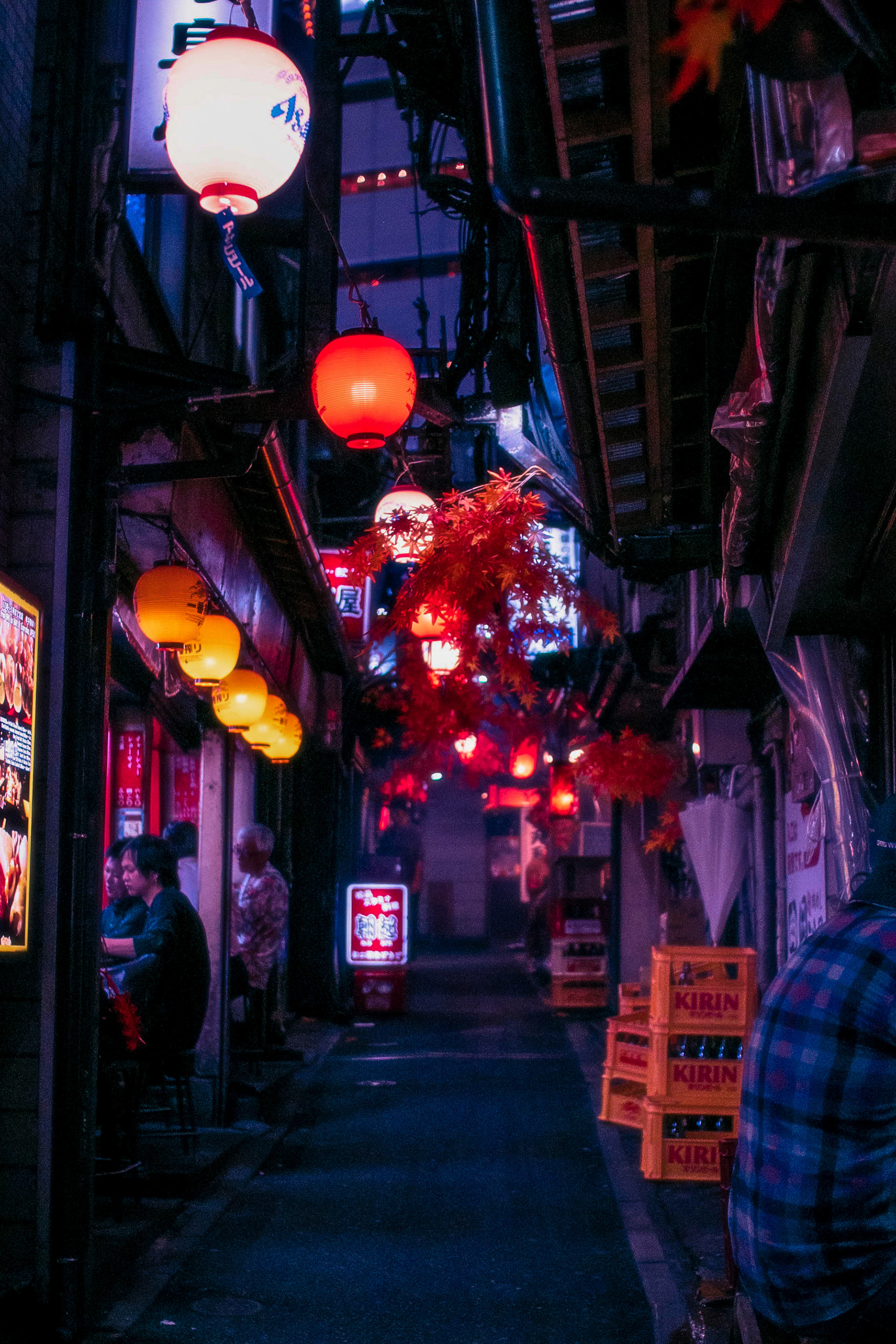 Omoide Yokocho (Momiji), Shinjuku-ku, Tokyo 2019
