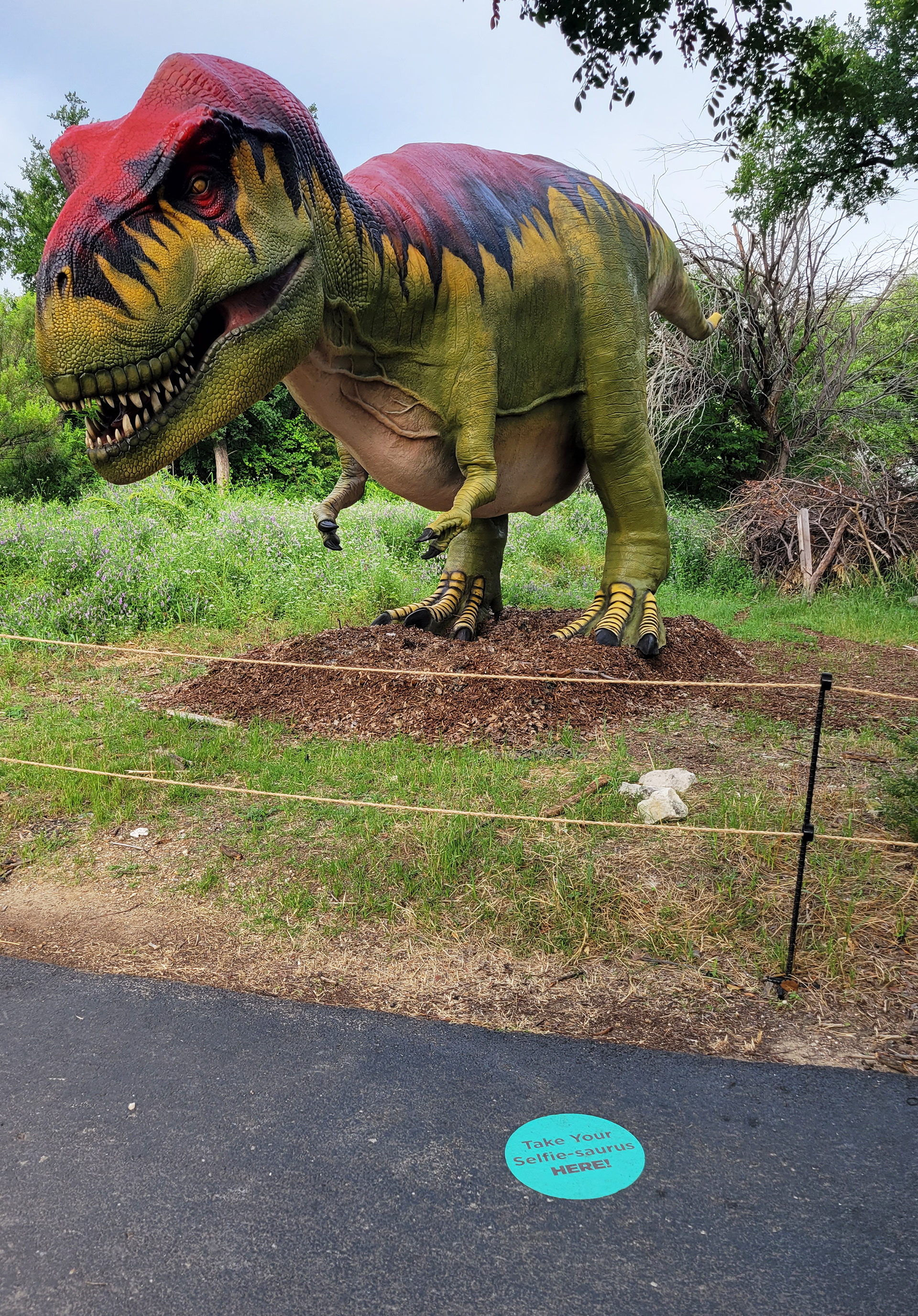 Perfect location for a selfie with our star T-rex