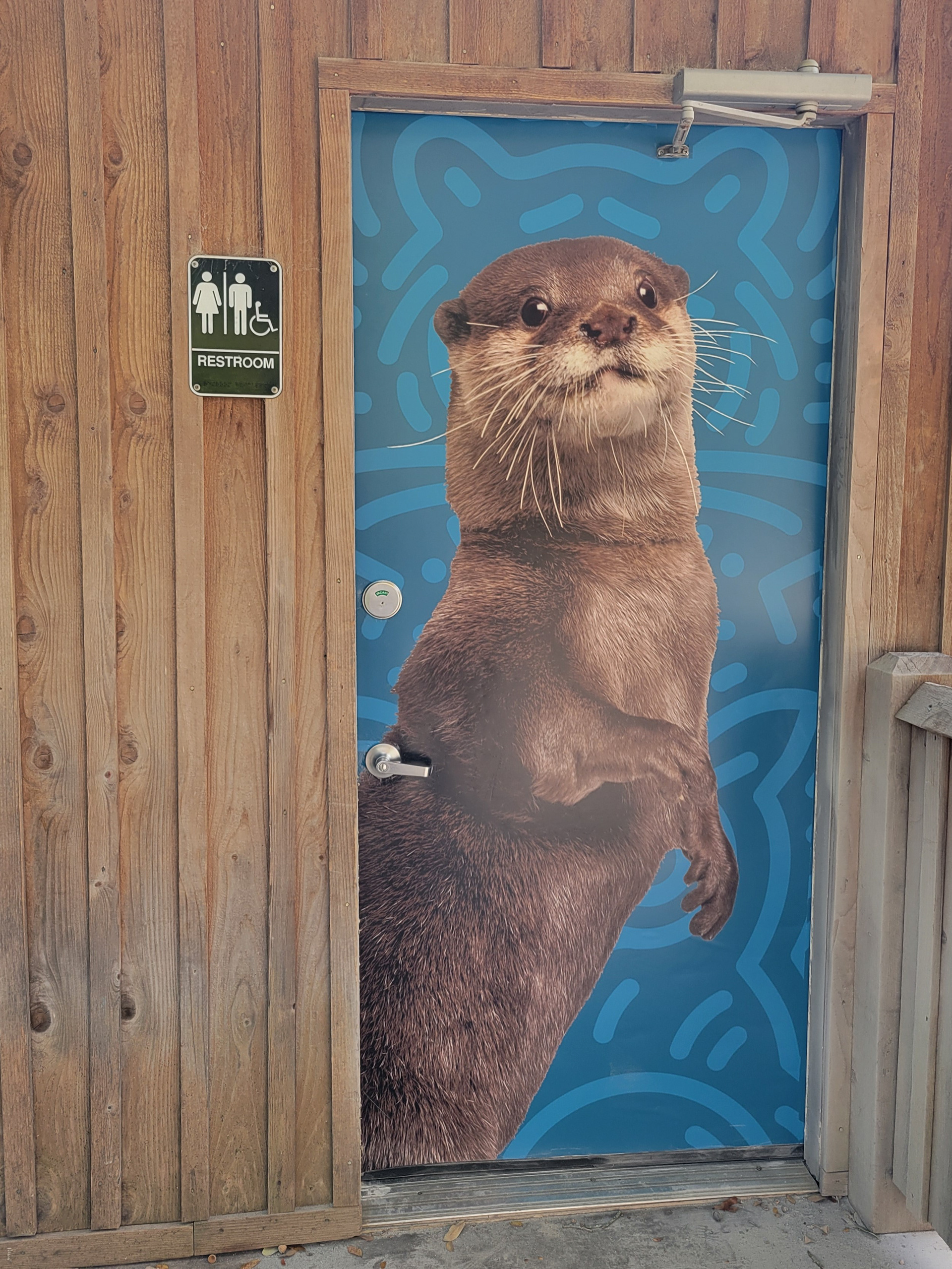 Restroom door vinyls to highlight some of the animals you can find at the Zoo