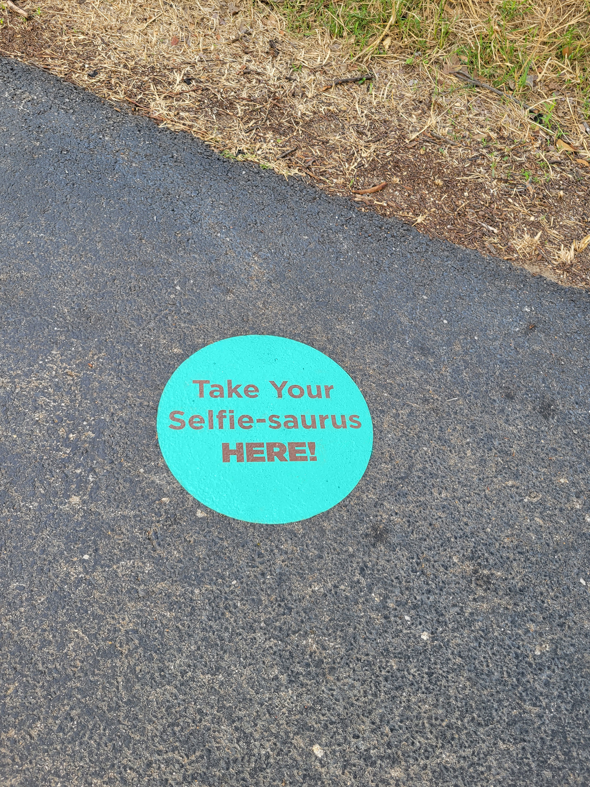 Concrete graphic to encourage people to take photos and help identify the best locations for photos