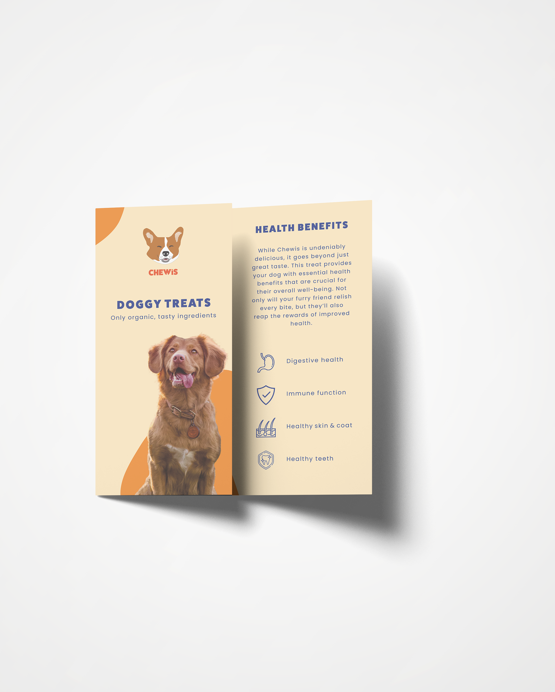 trifold pamphlet