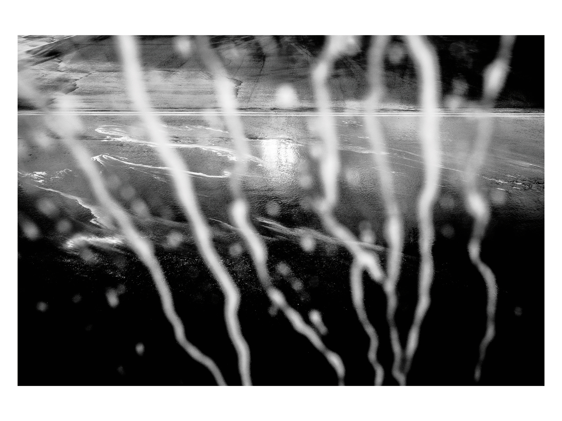 © Daniil Kobizskiy. All rights reserved