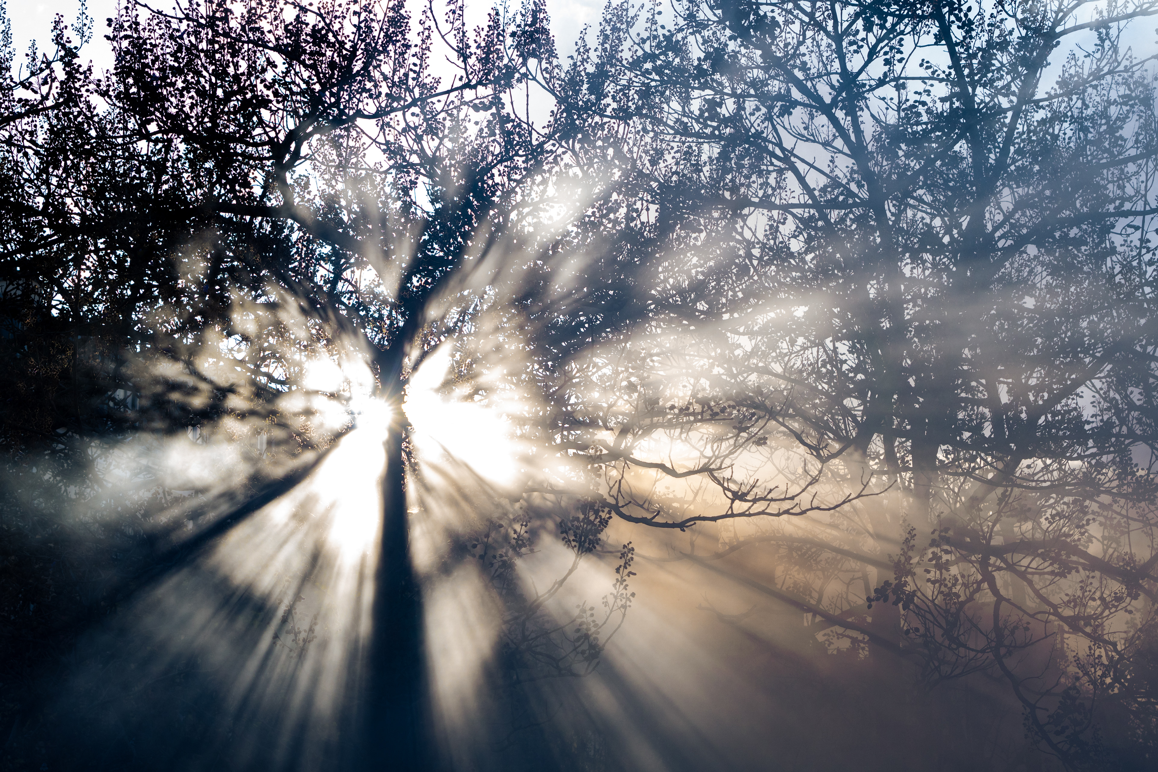 © Daniil Kobizskiy. All rights reserved