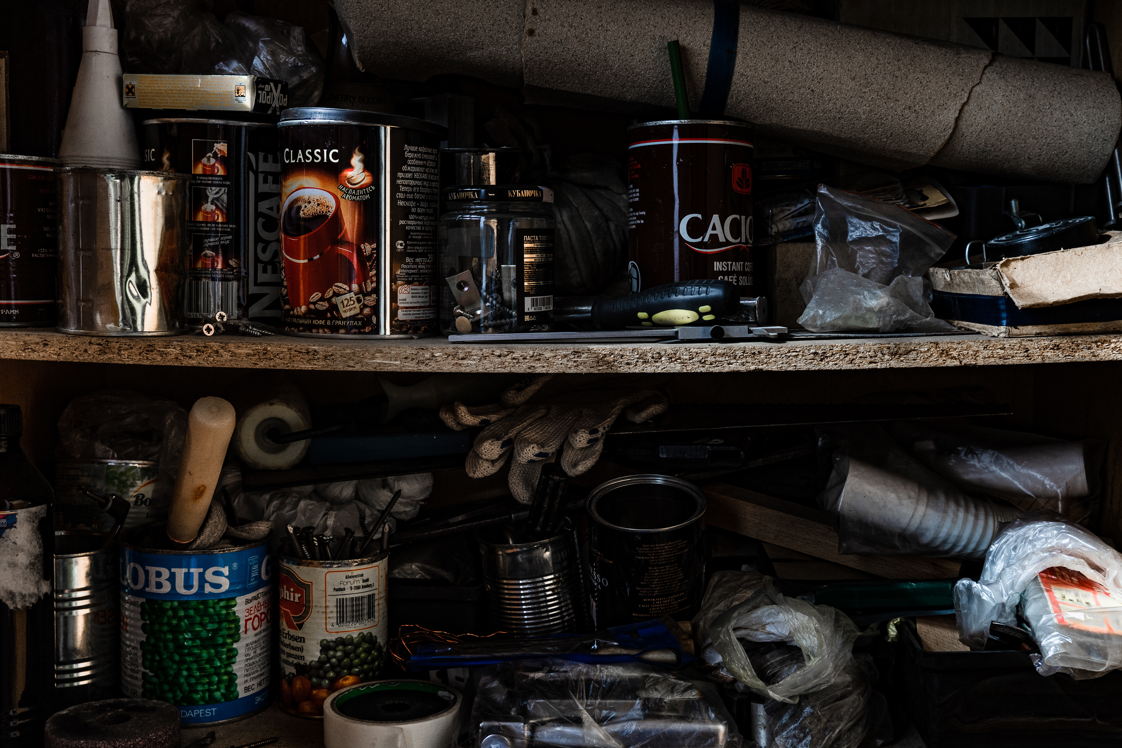 © Daniil Kobizskiy. All rights reserved