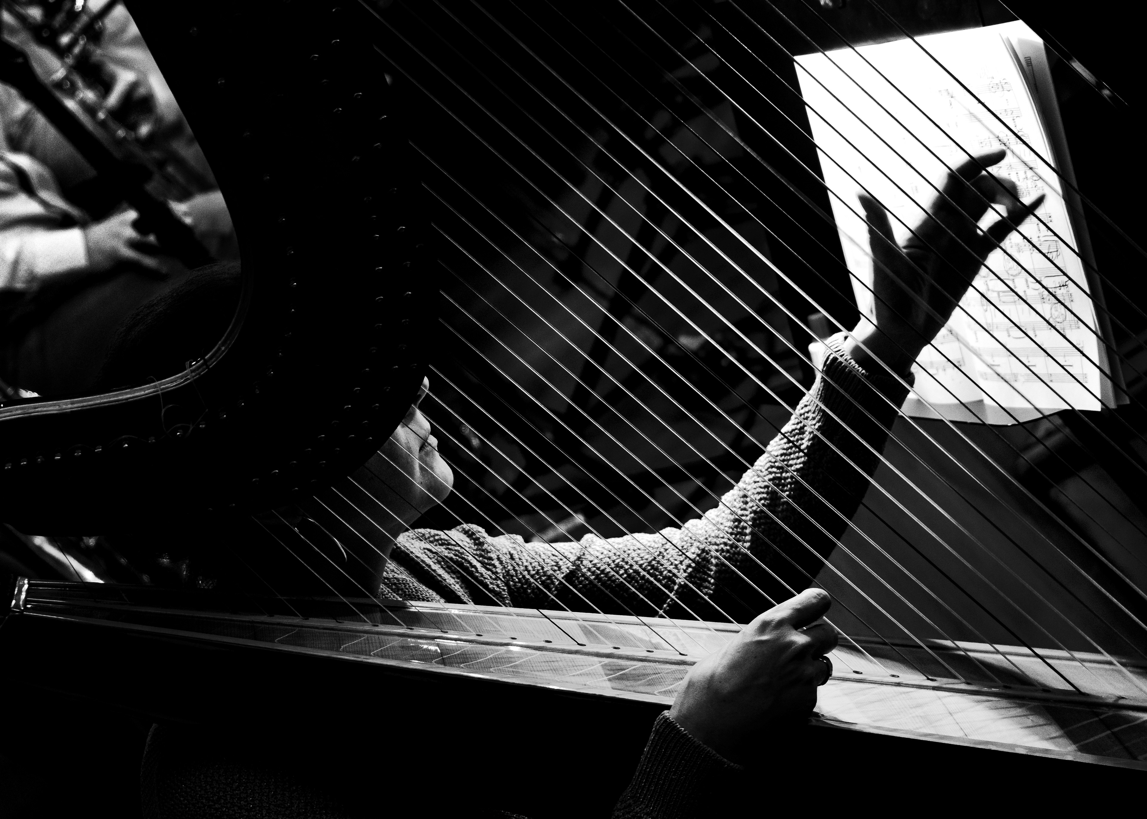 © Daniil Kobizskiy. All rights reserved