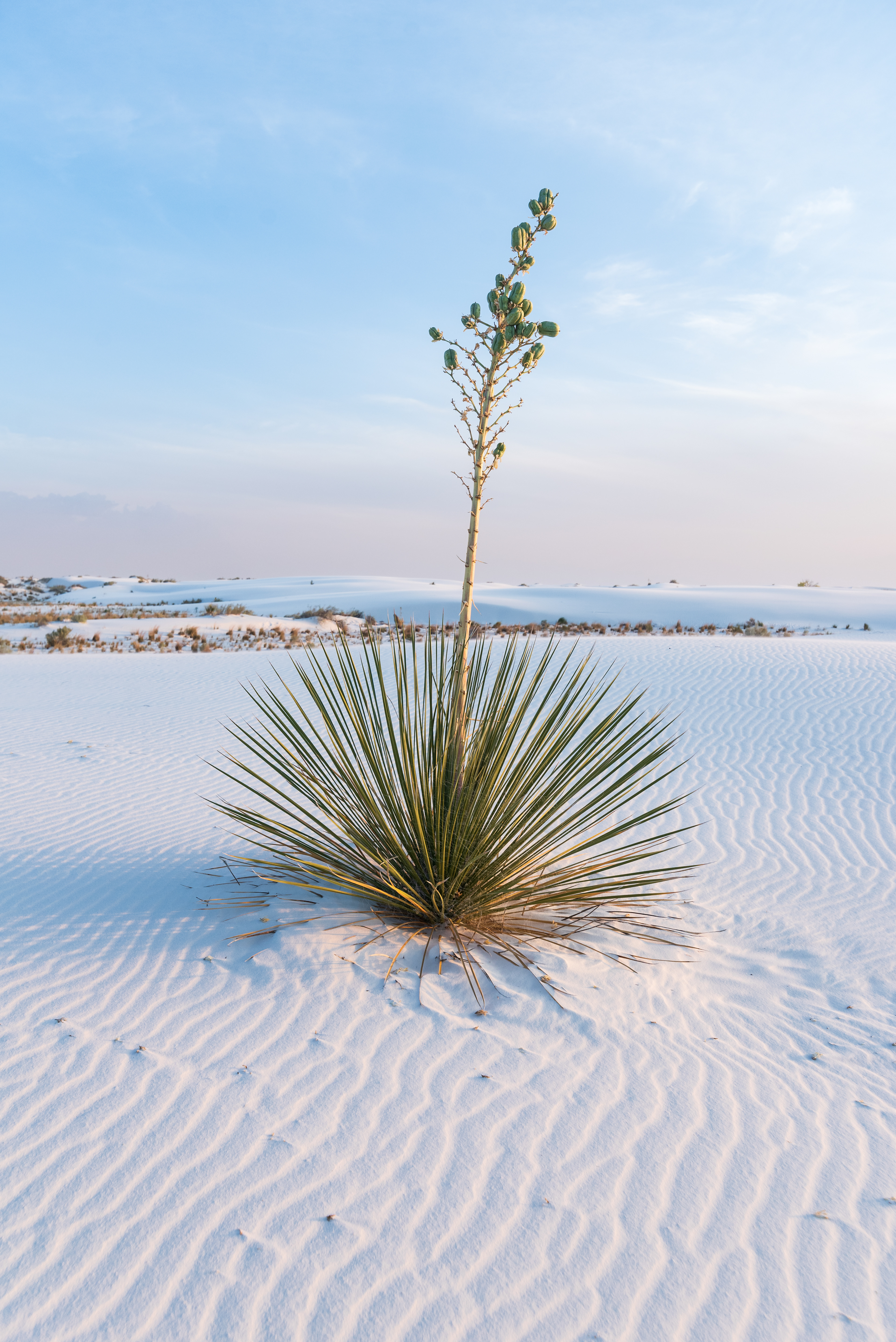 White Sands