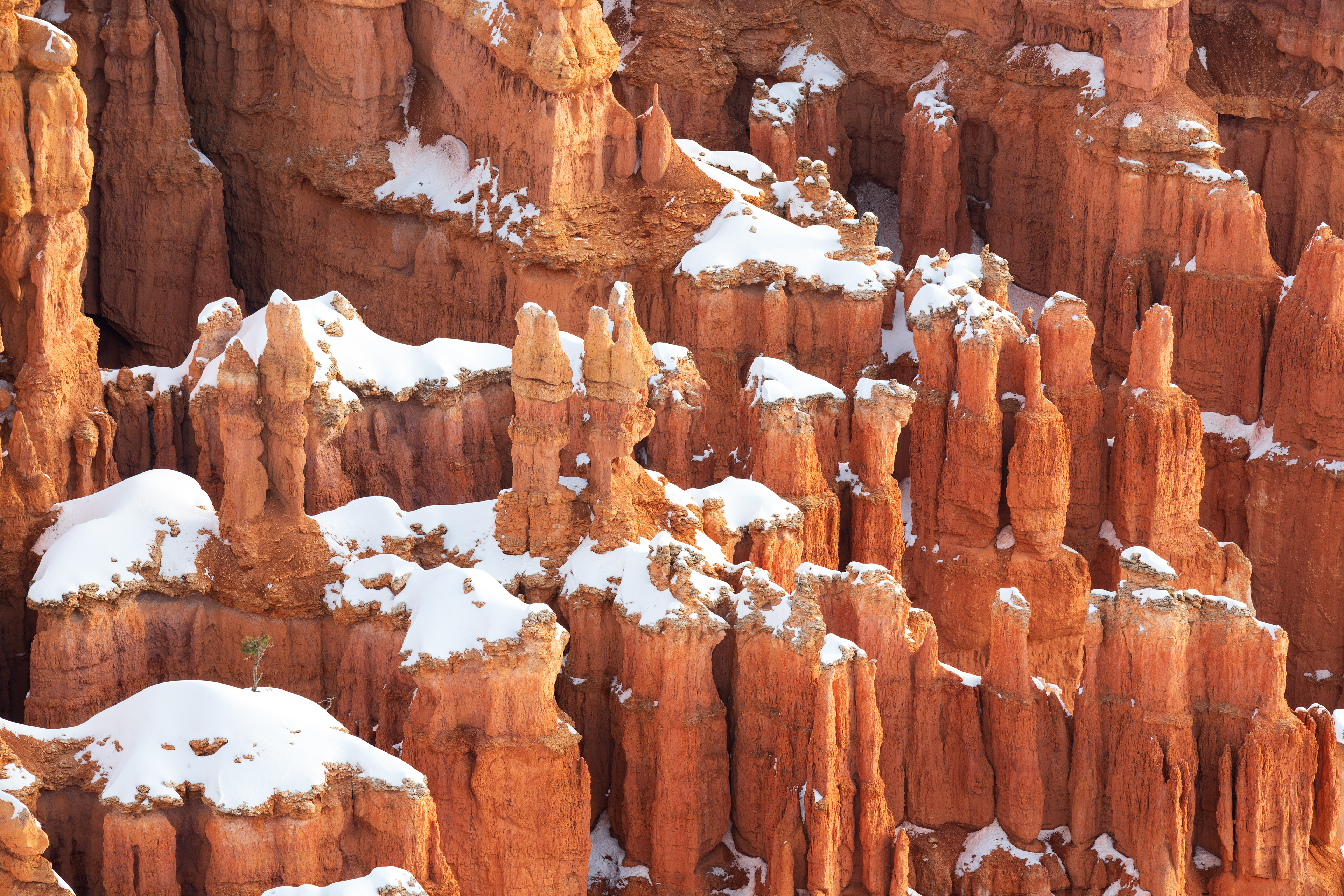 Intimate Bryce