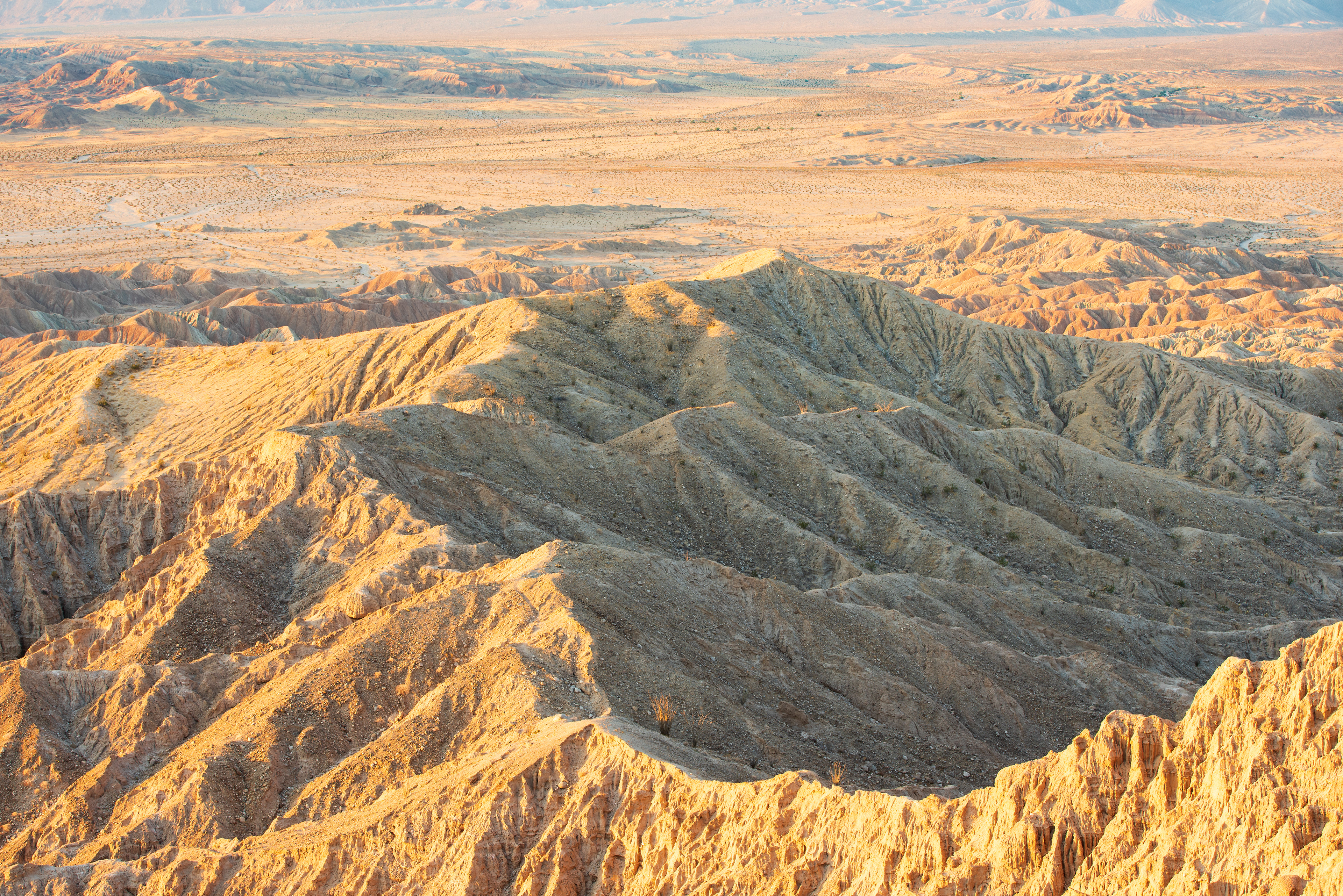 Surise over Borrego