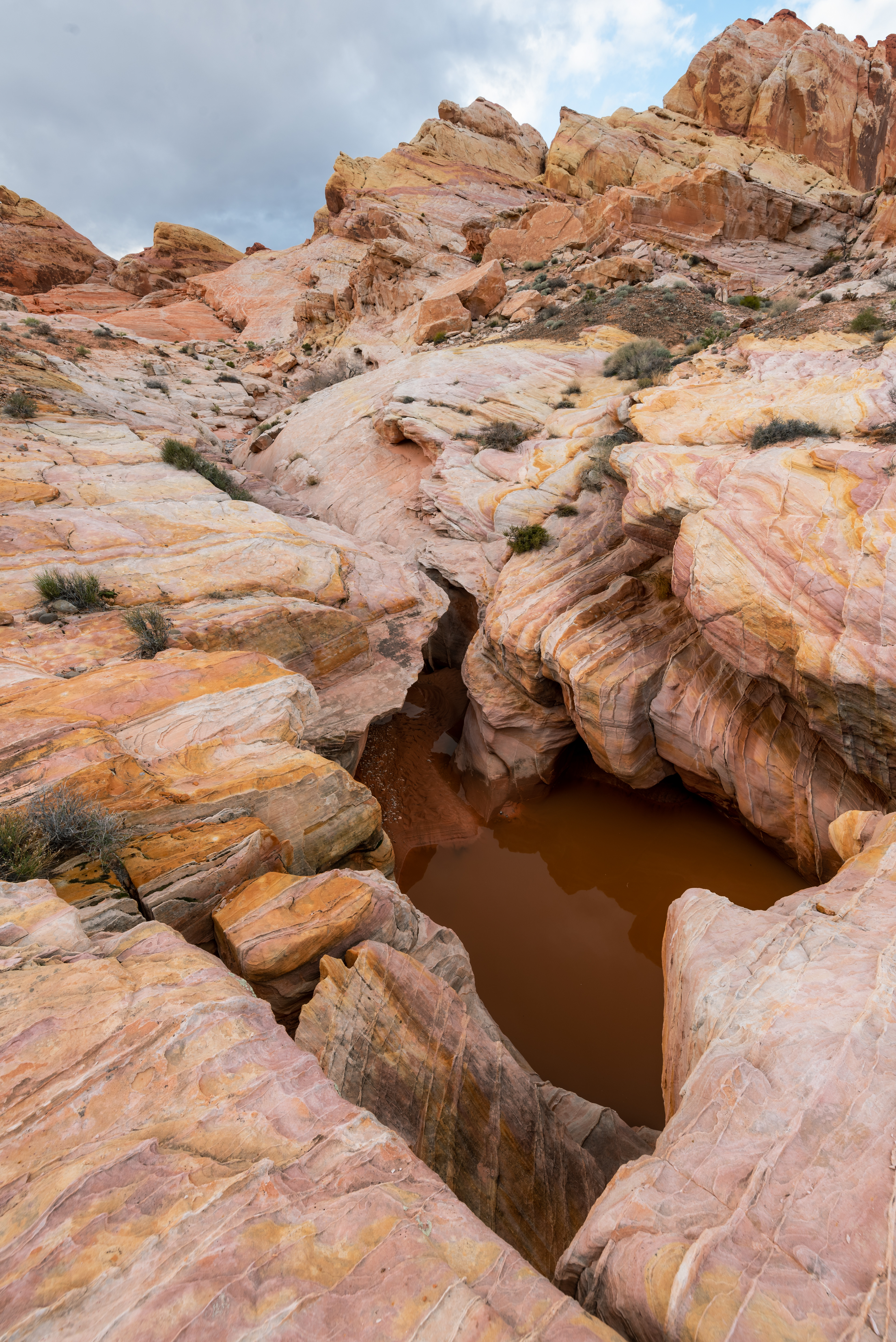Pink Canyon
