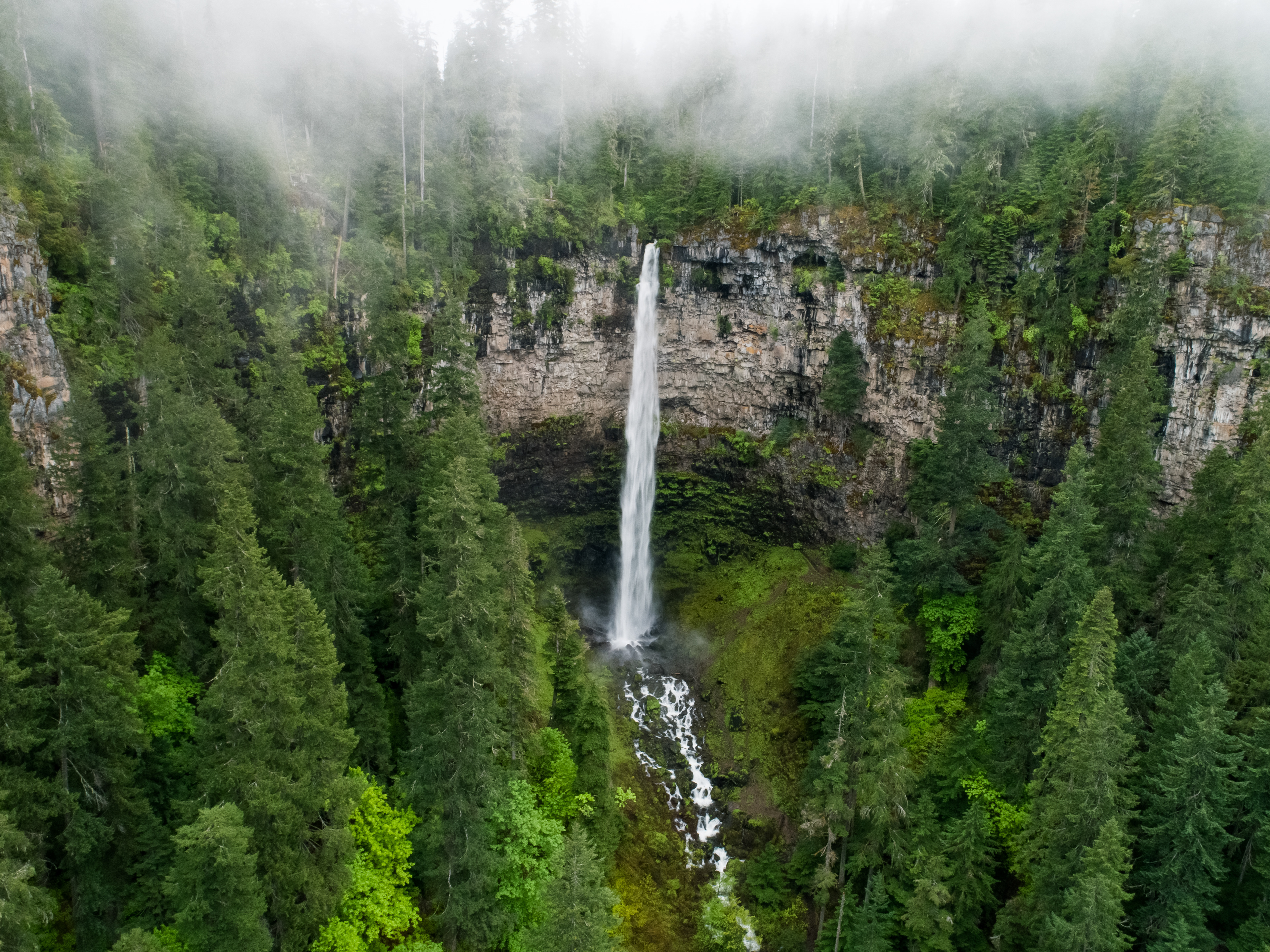 Secret Under the Fog