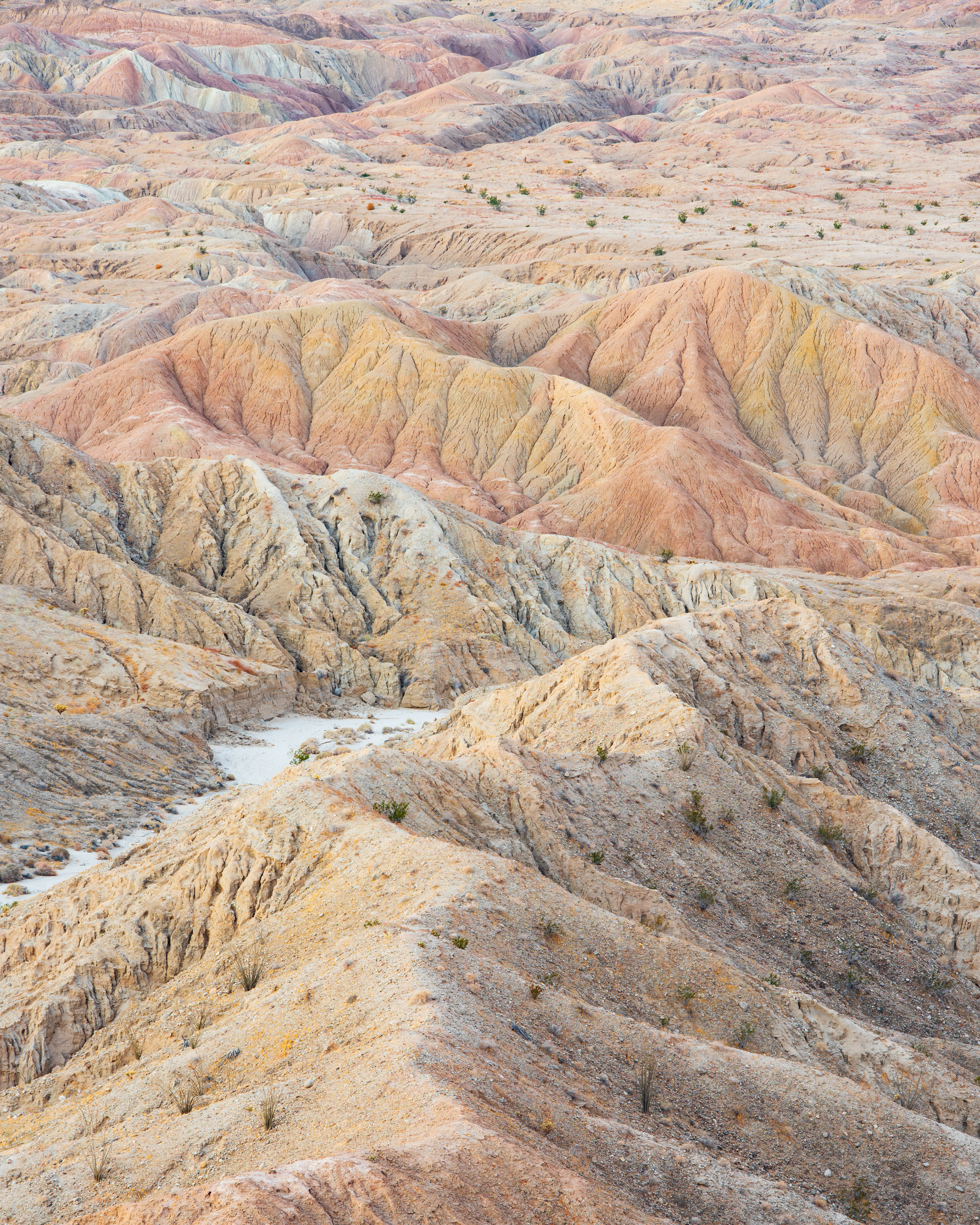 Pastels in Borrego