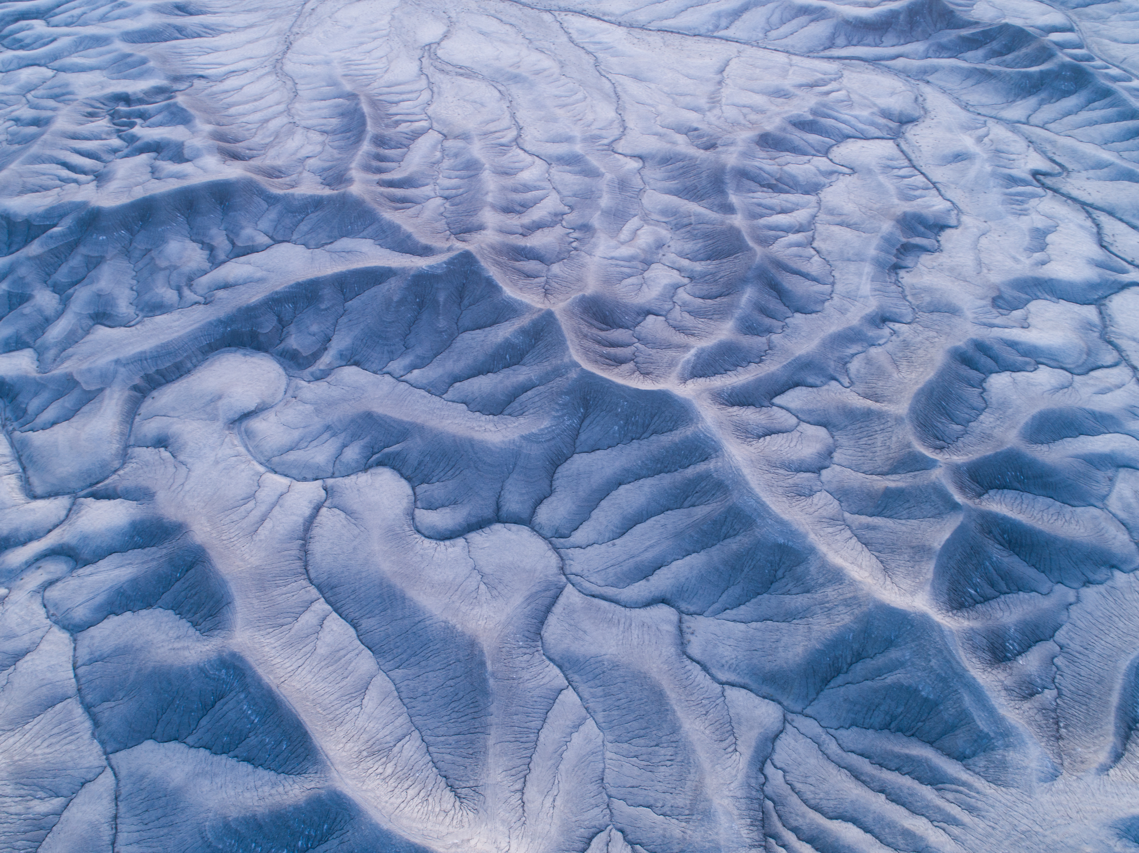 Veins of the Earth
