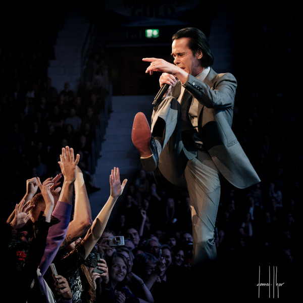Nick Cave & The Bad Seeds