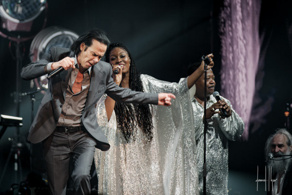 Nick Cave & The Bad Seeds