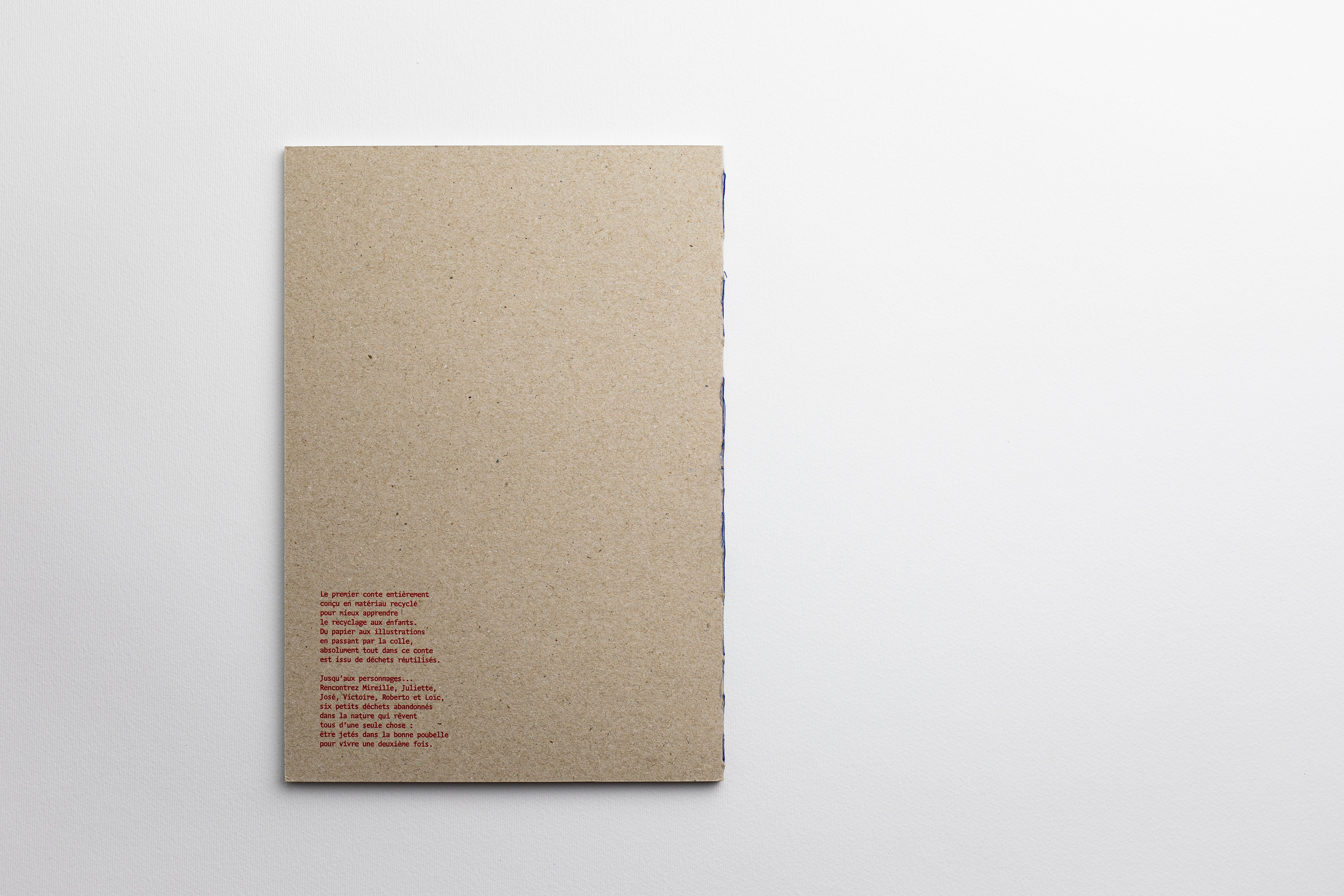 Tofdru, tof dru, illustration, graphisme, typographie, photographie, collage, dessin, peinture, recyclage, upcycling, conte pour enfants, dechets