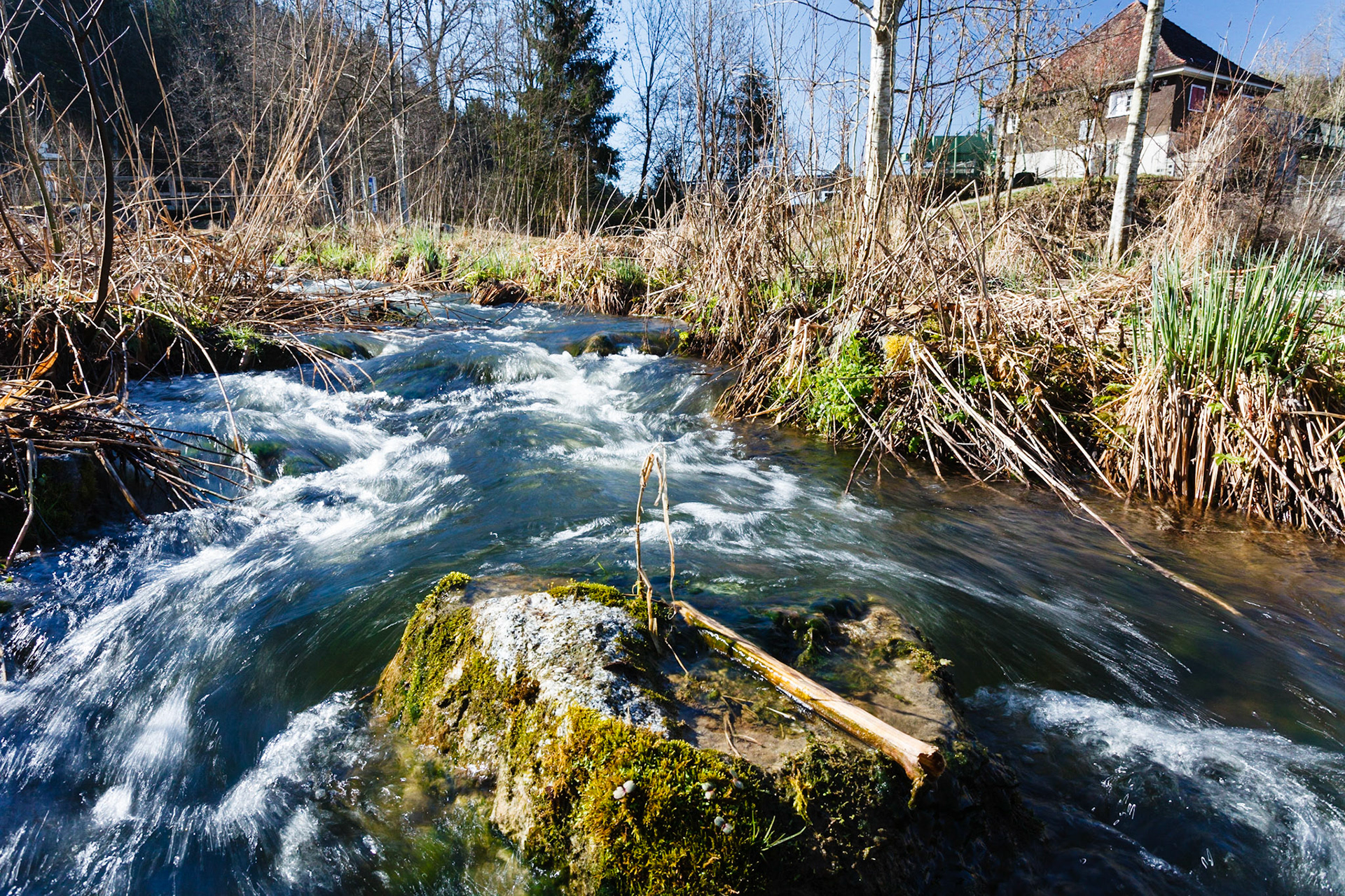 fishpass