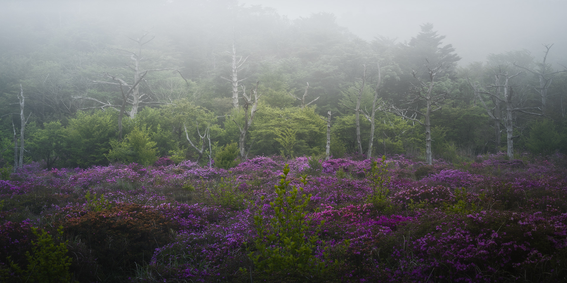 The EPSON international Pano awards 2023 Amateur Nature Landscape Silver Award