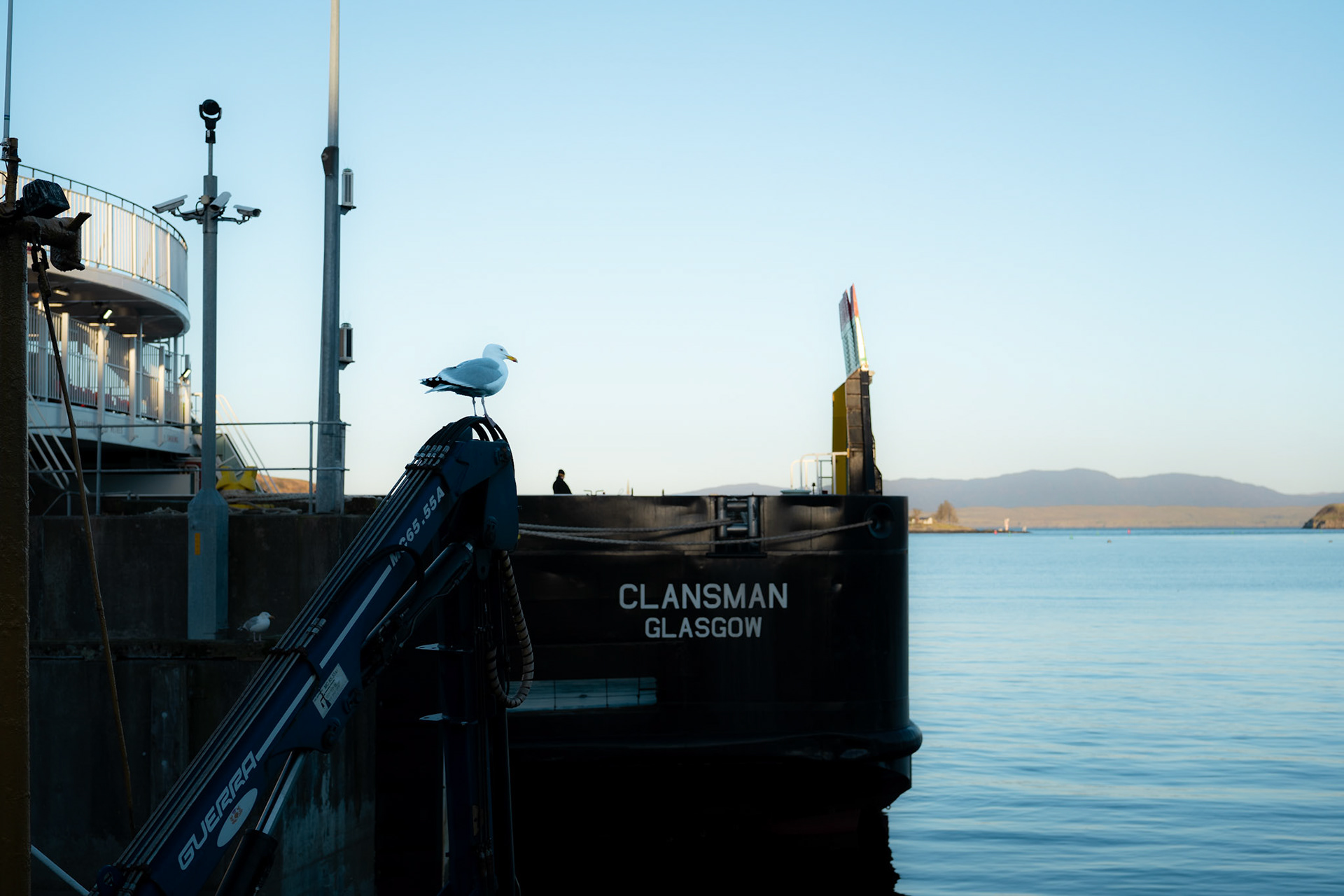 The Gull and the Clansman