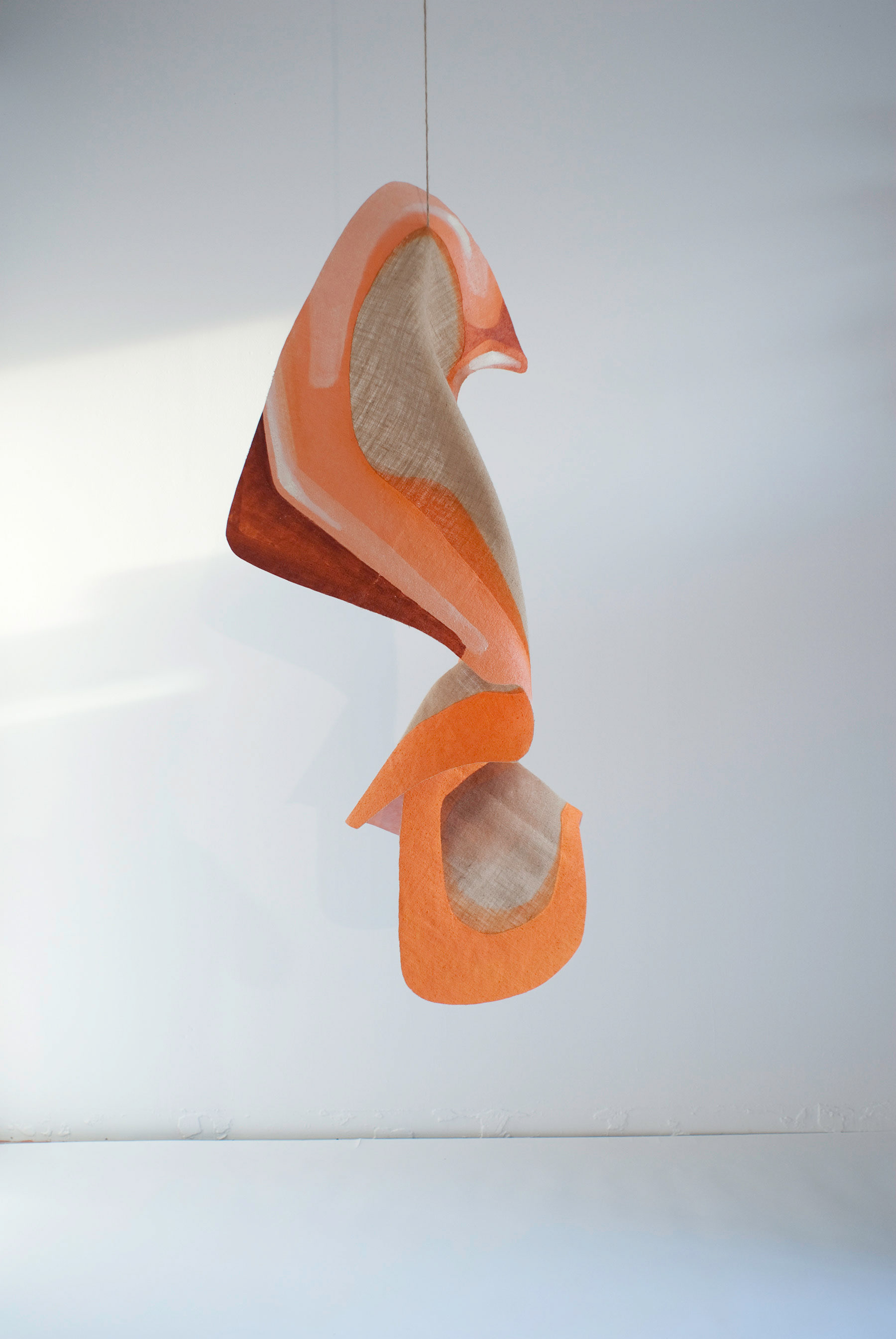 Sow's Ear | 2013