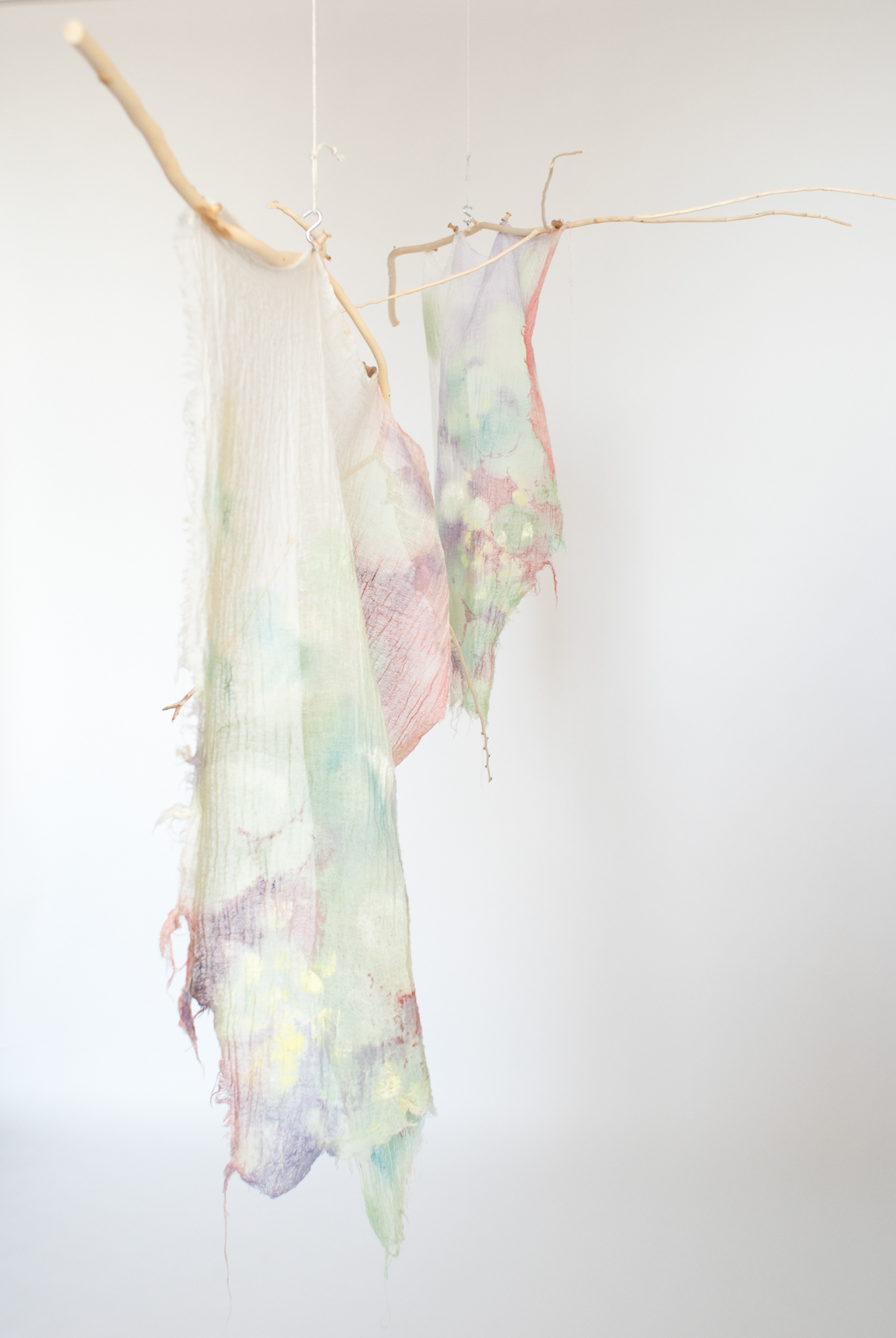 Redon's Butterflies | 2014