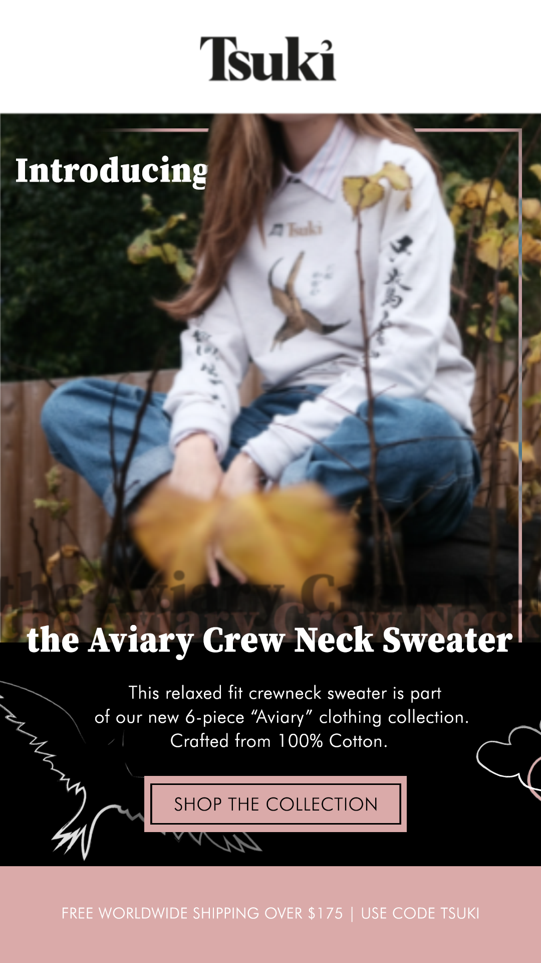 Product Launch Email Design and Illustration - Tsuki, 2021