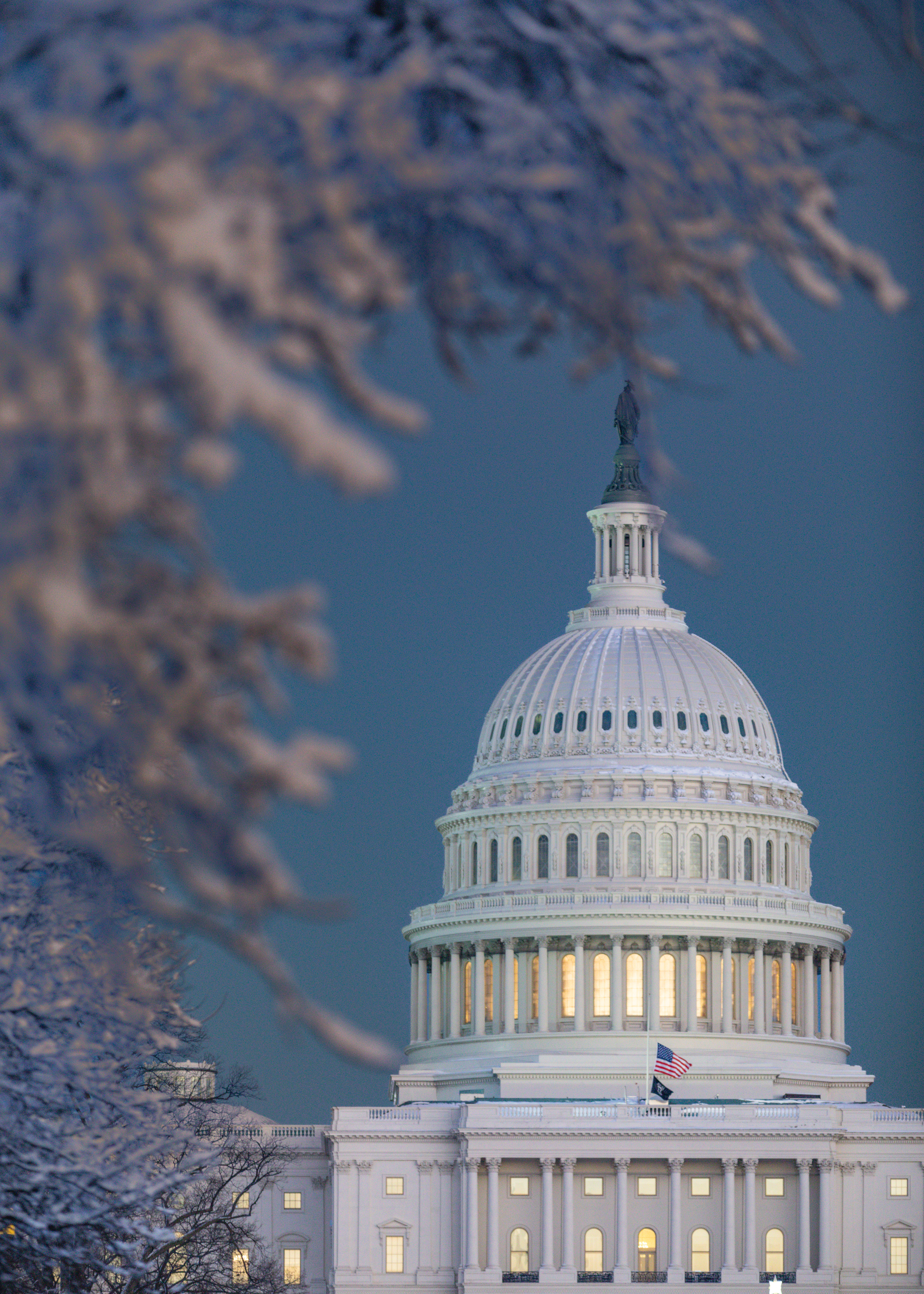 Framing the Capitol