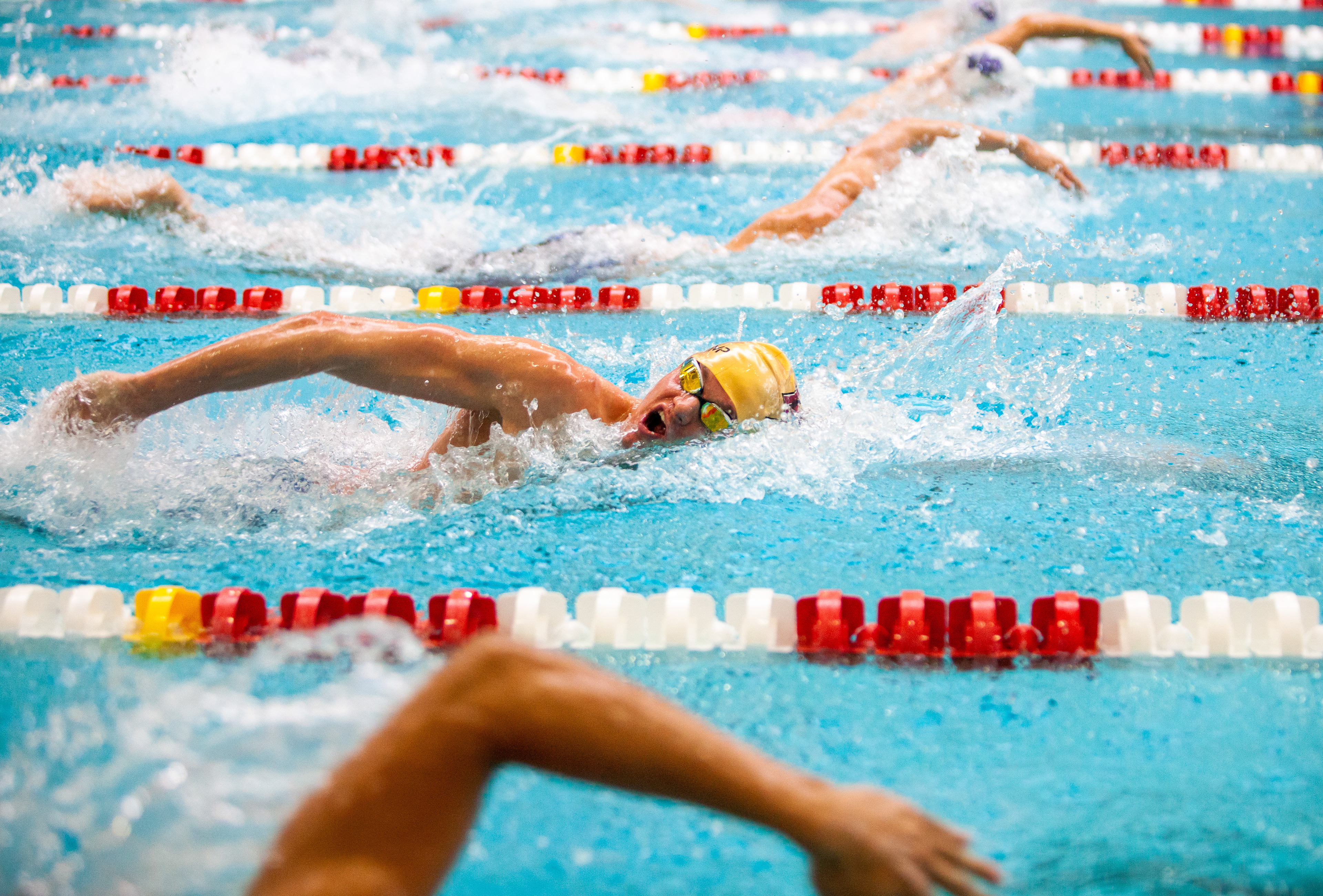 A Boston College swimmer competes during the Terrier Invite Swim Meet on November 16, 2018 at the Boston University Fitness and Recreation Center in Boston, Massachusetts.