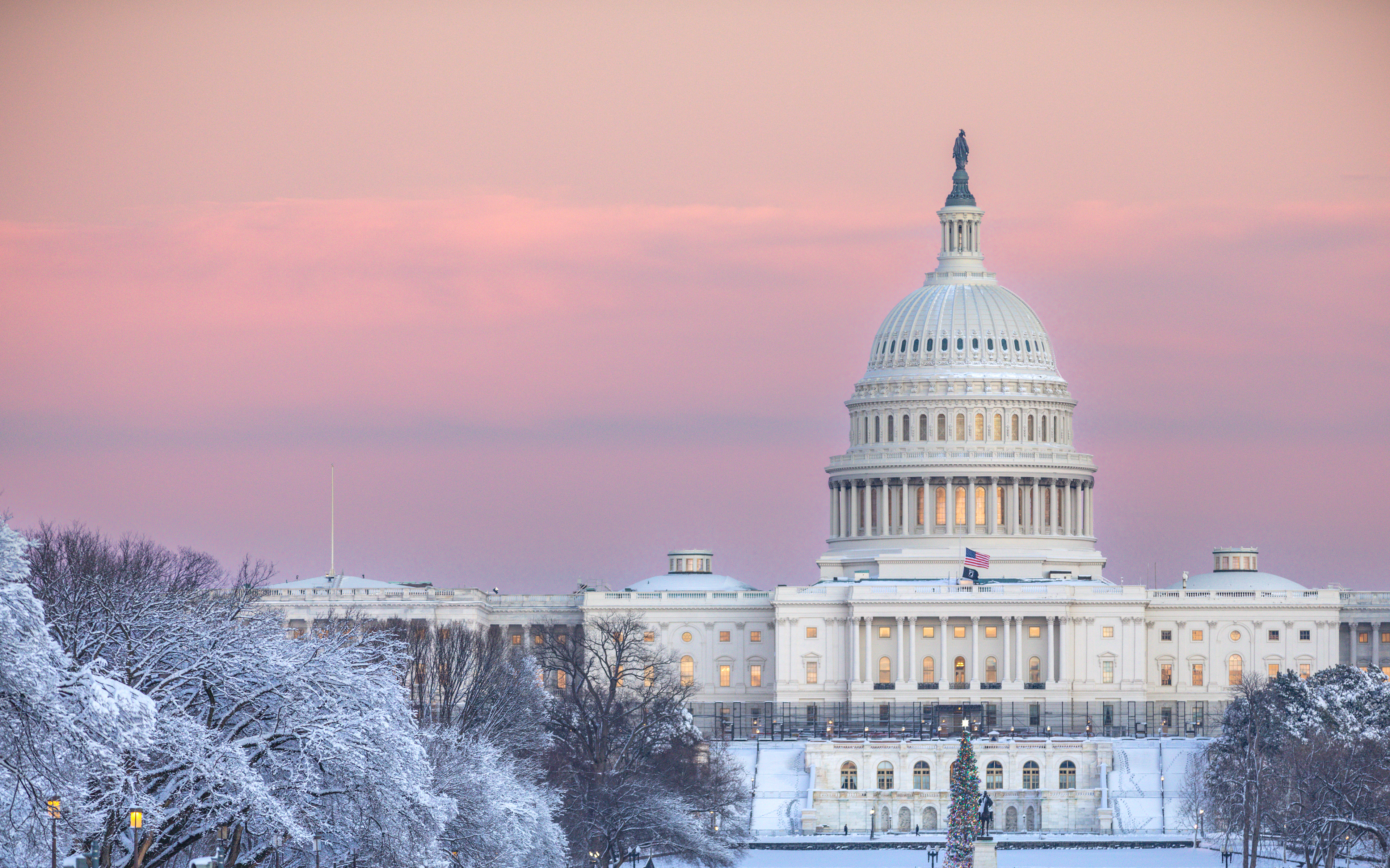 Pink Capitol