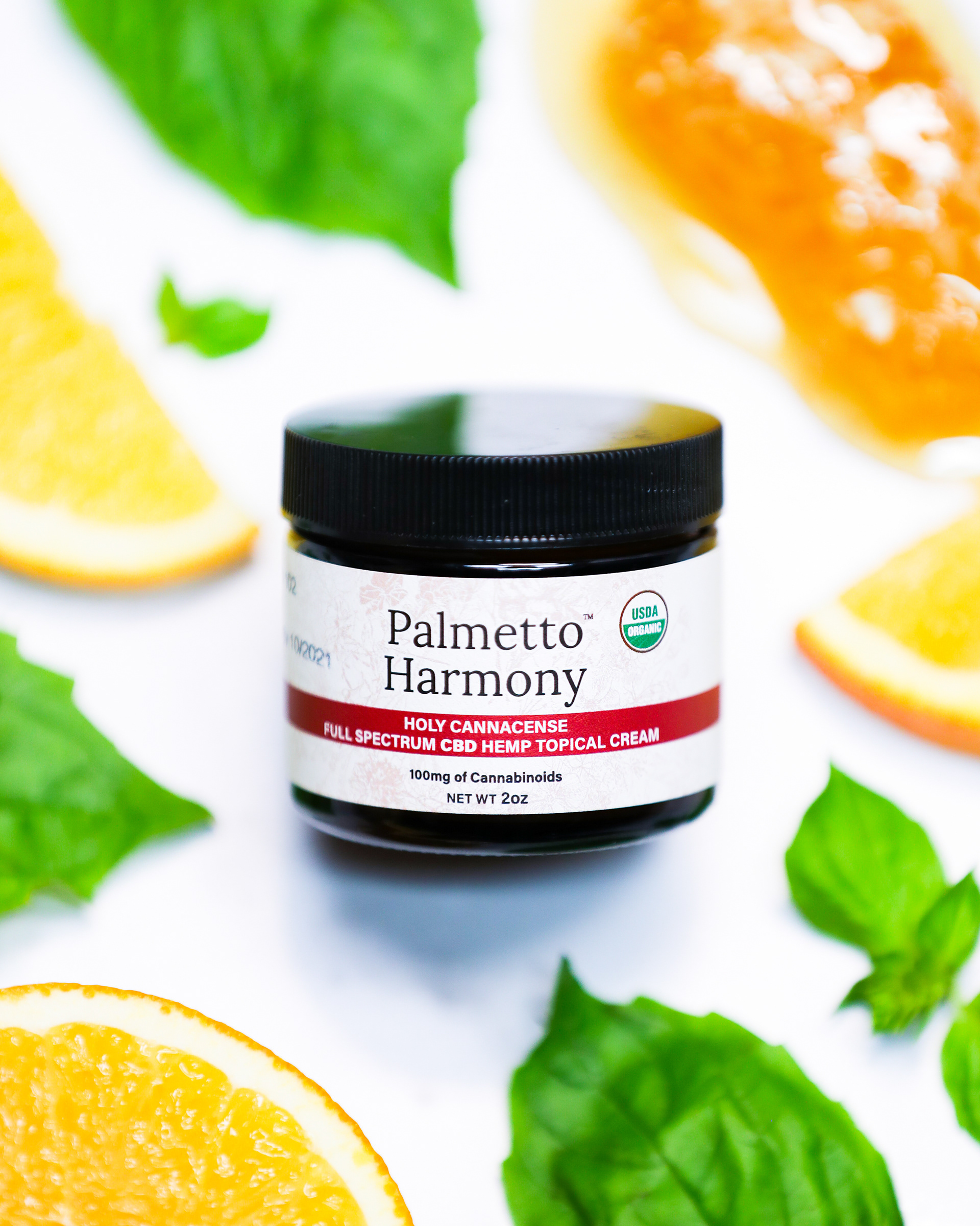 Palmetto Harmony // shot for Triarc