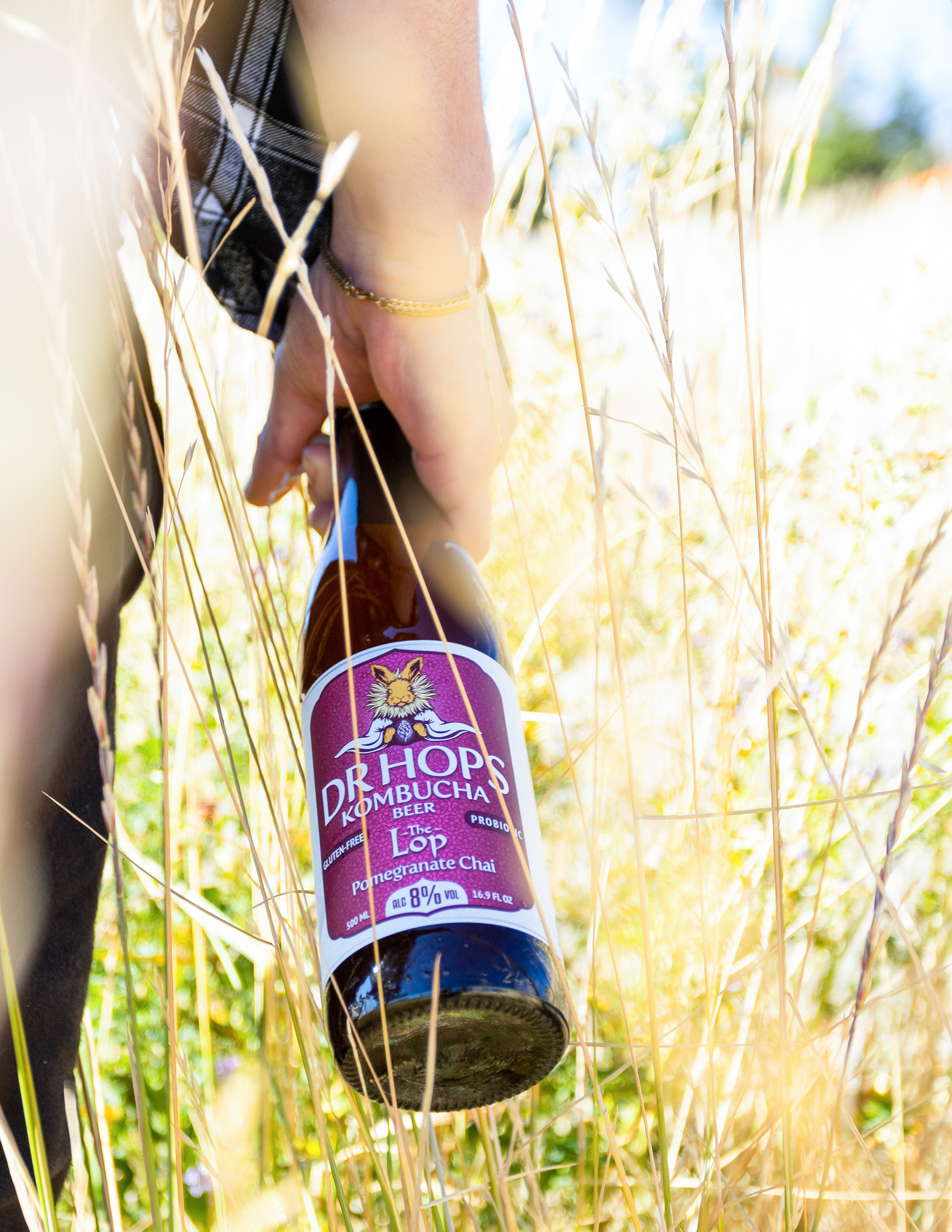Dr. Hops Kombucha Beer // shot for Triarc