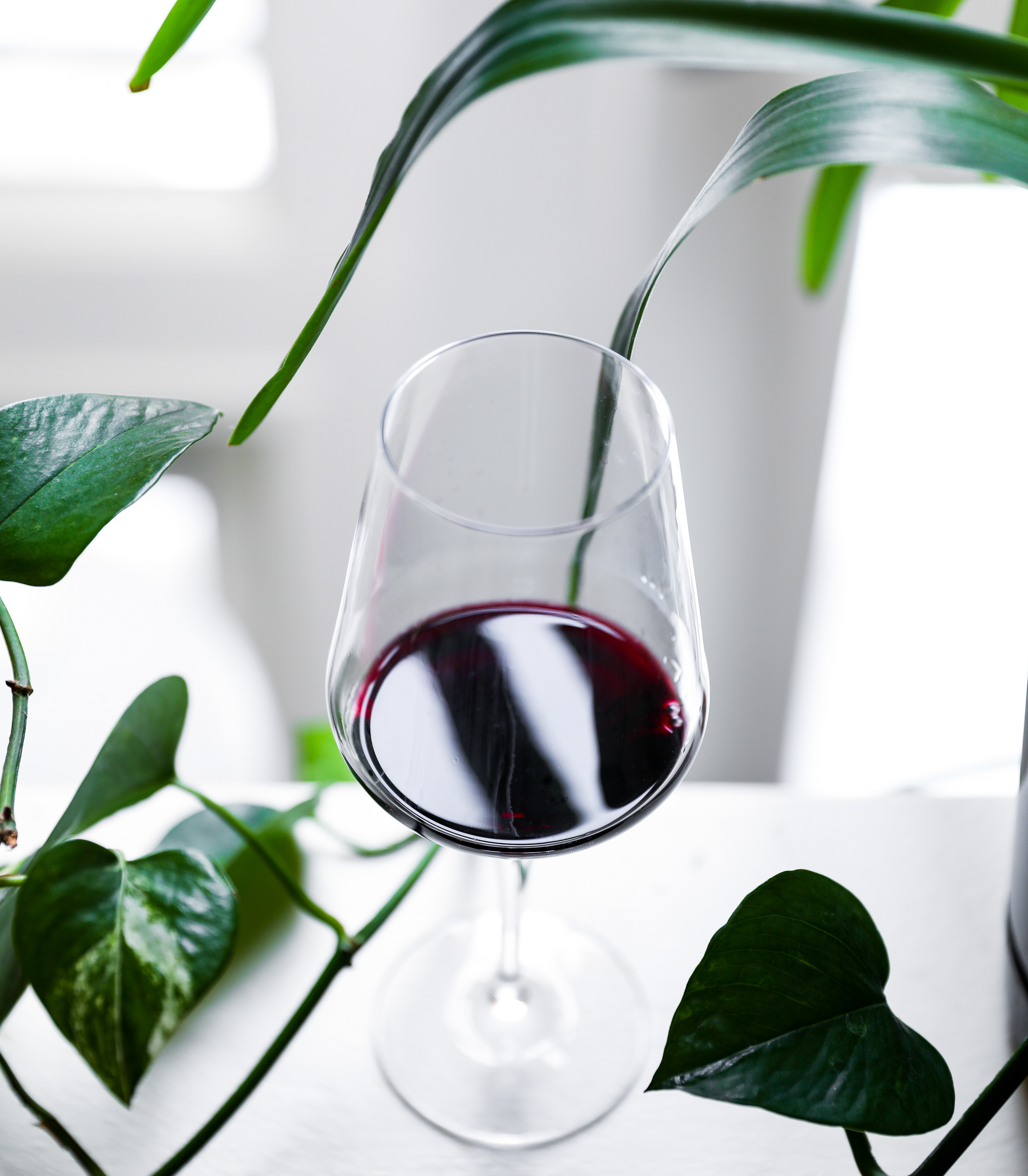 Cowhorn Wines // shot for Triarc