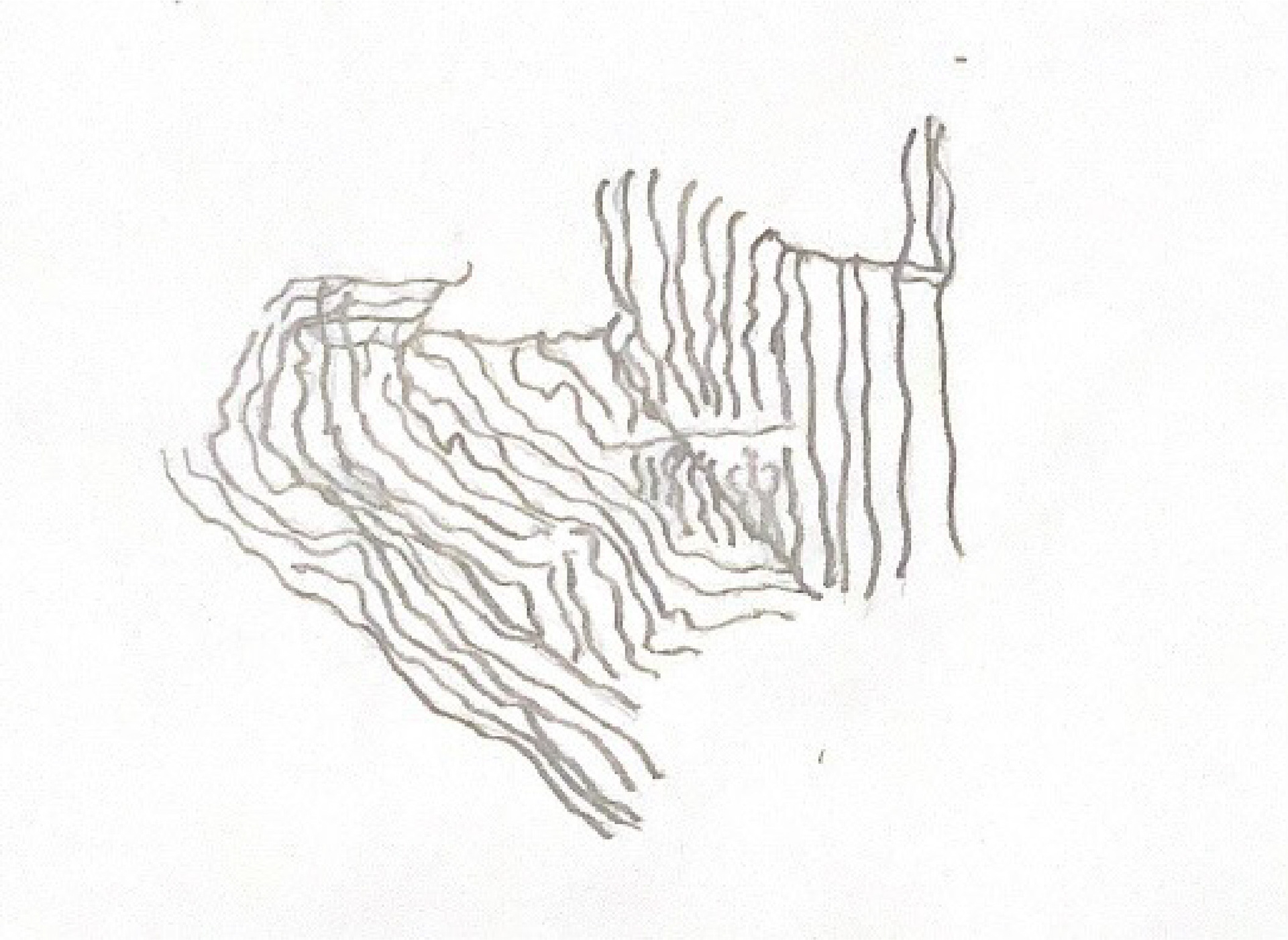 Wrinkle Excerise