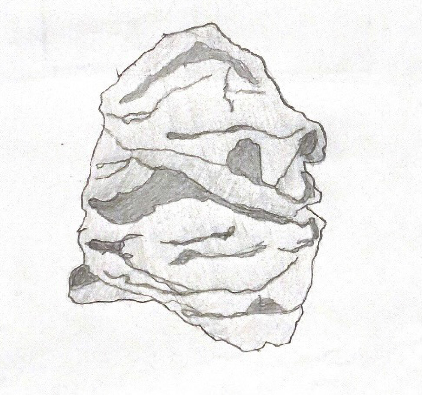 Paper Bag Exercise