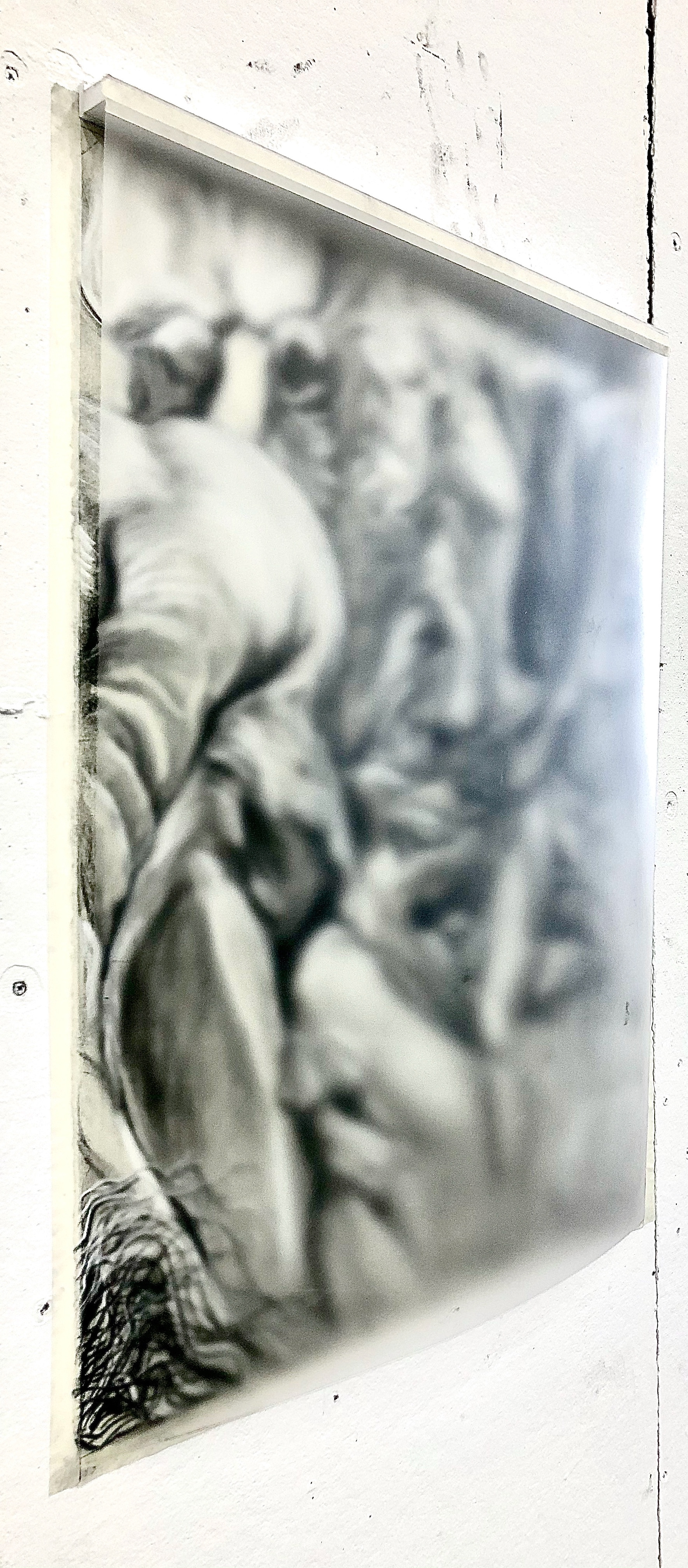 "Transparency of the Modem," 2019, Charcoal and Conté on Toned Paper, 30” x 22”​​​​​​​
