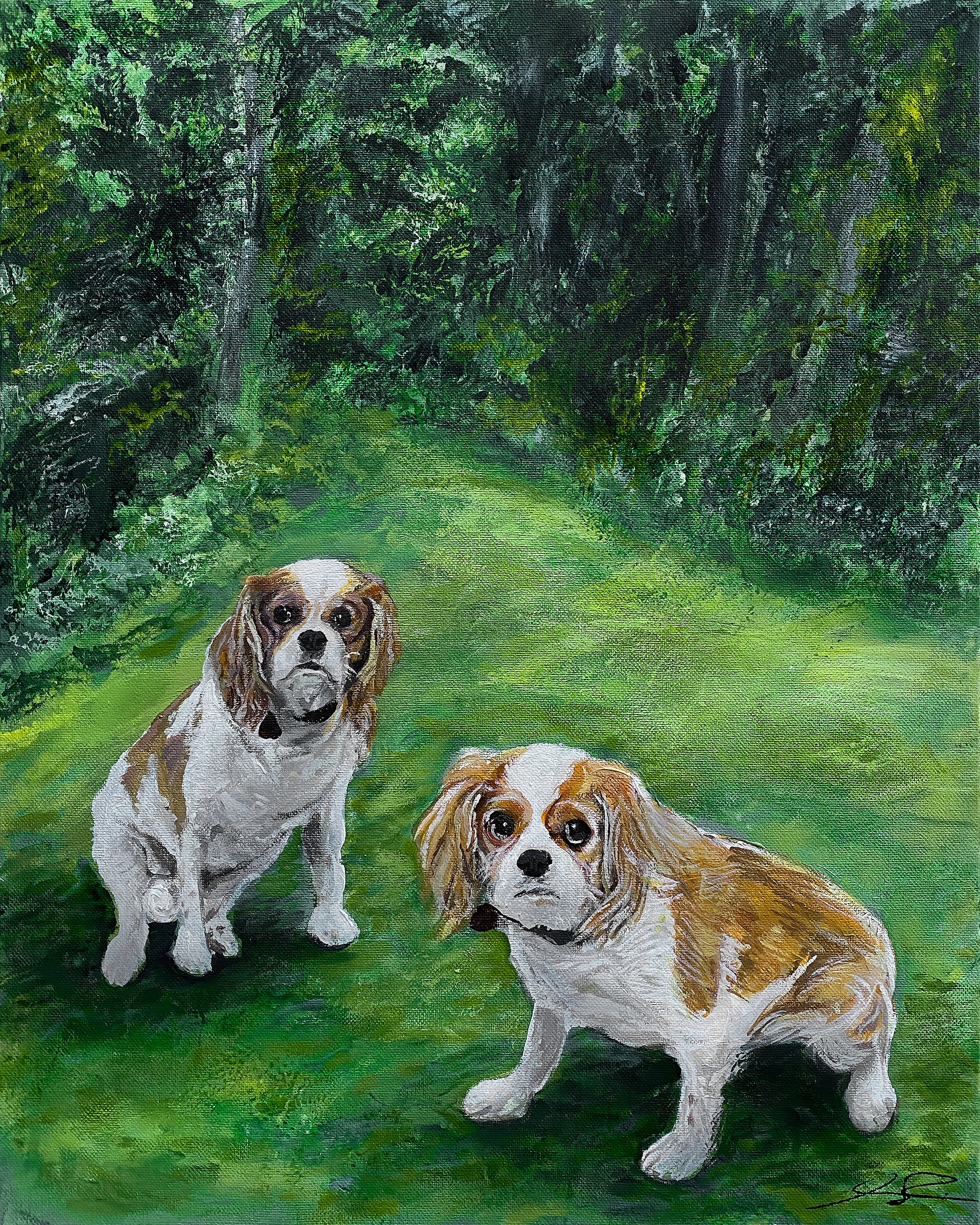 Twin Cavalier Pet Portrait