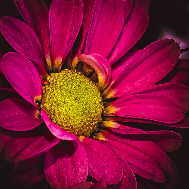 Botanics No. 8
