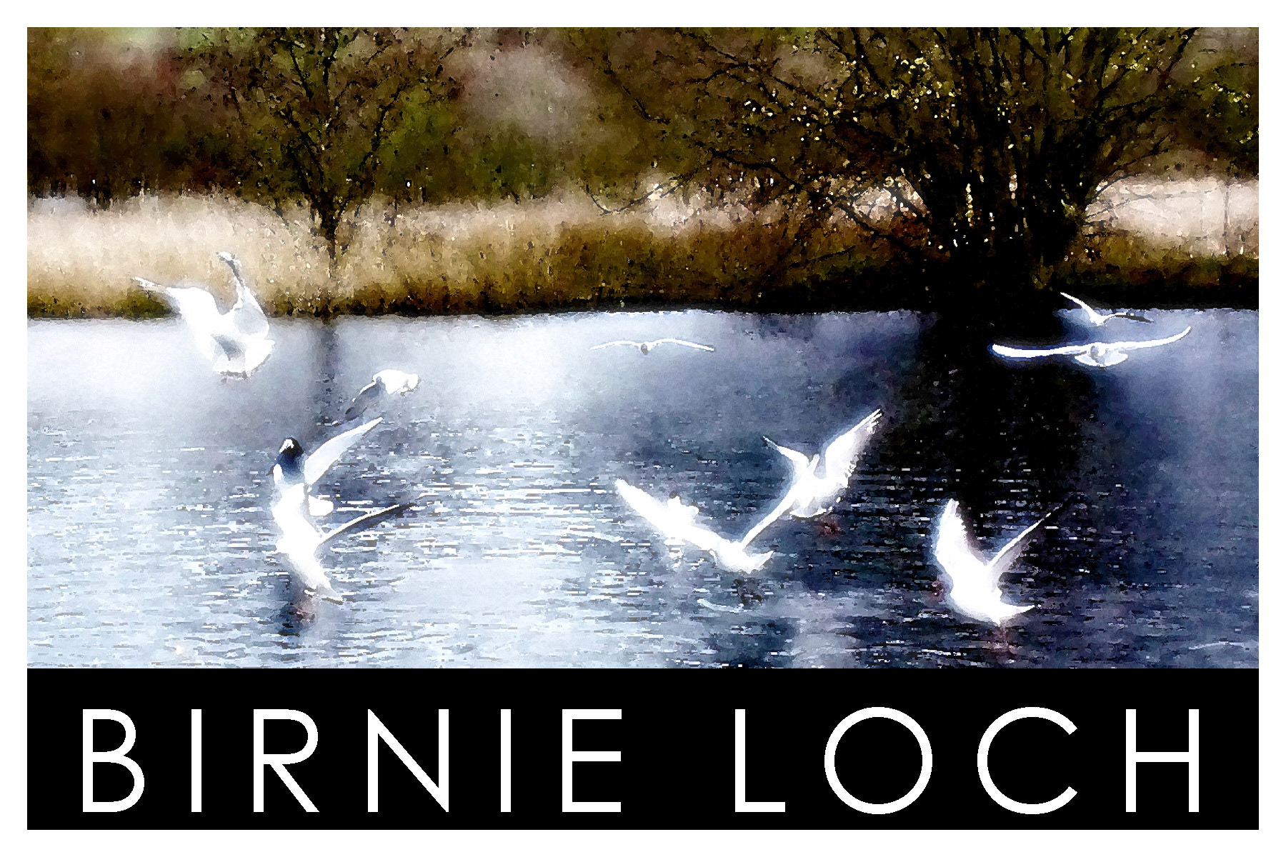 Burnie Loch